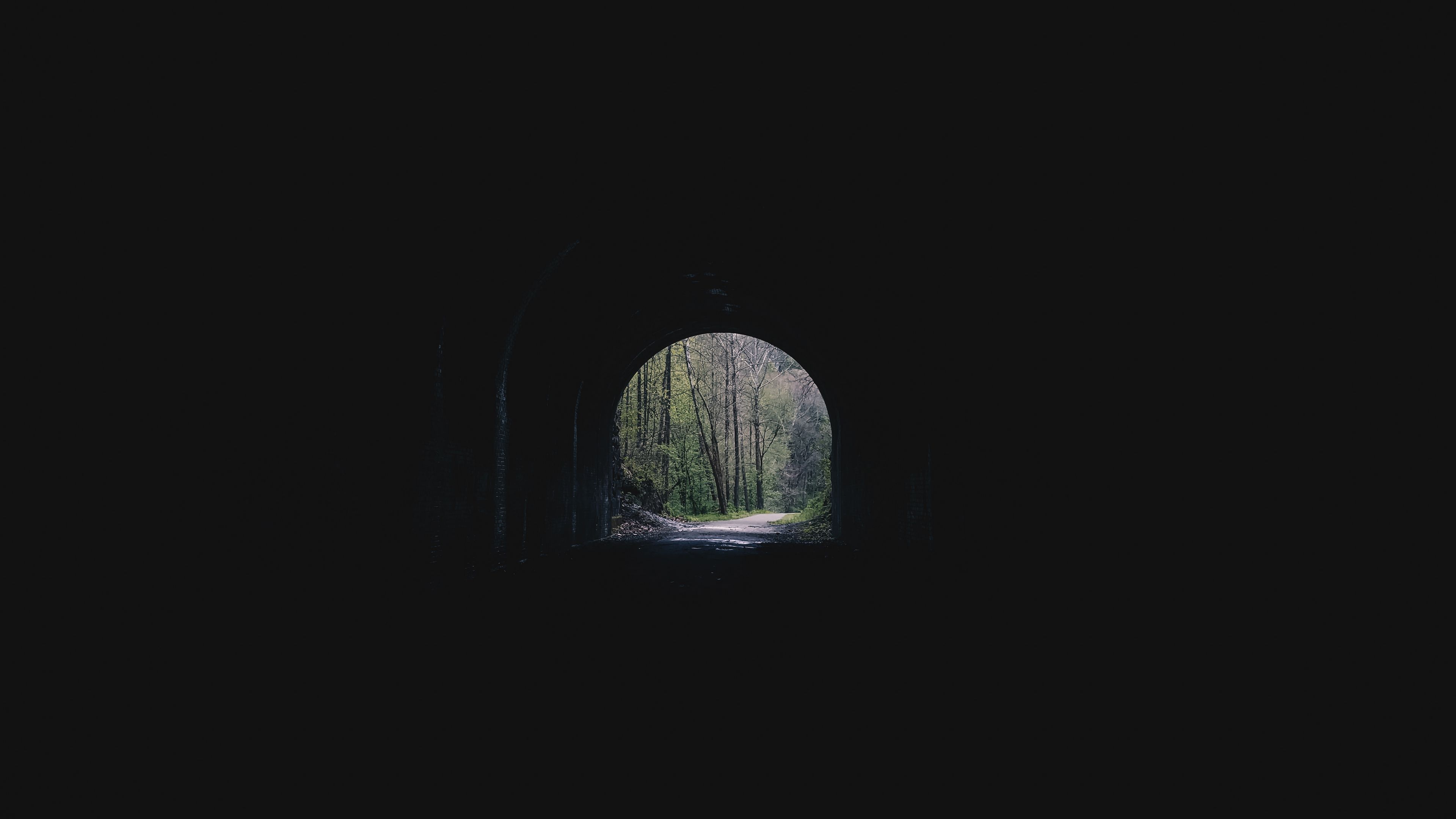 tunnel, arch, trees, alley, dark, 4k, HD Wallpaper