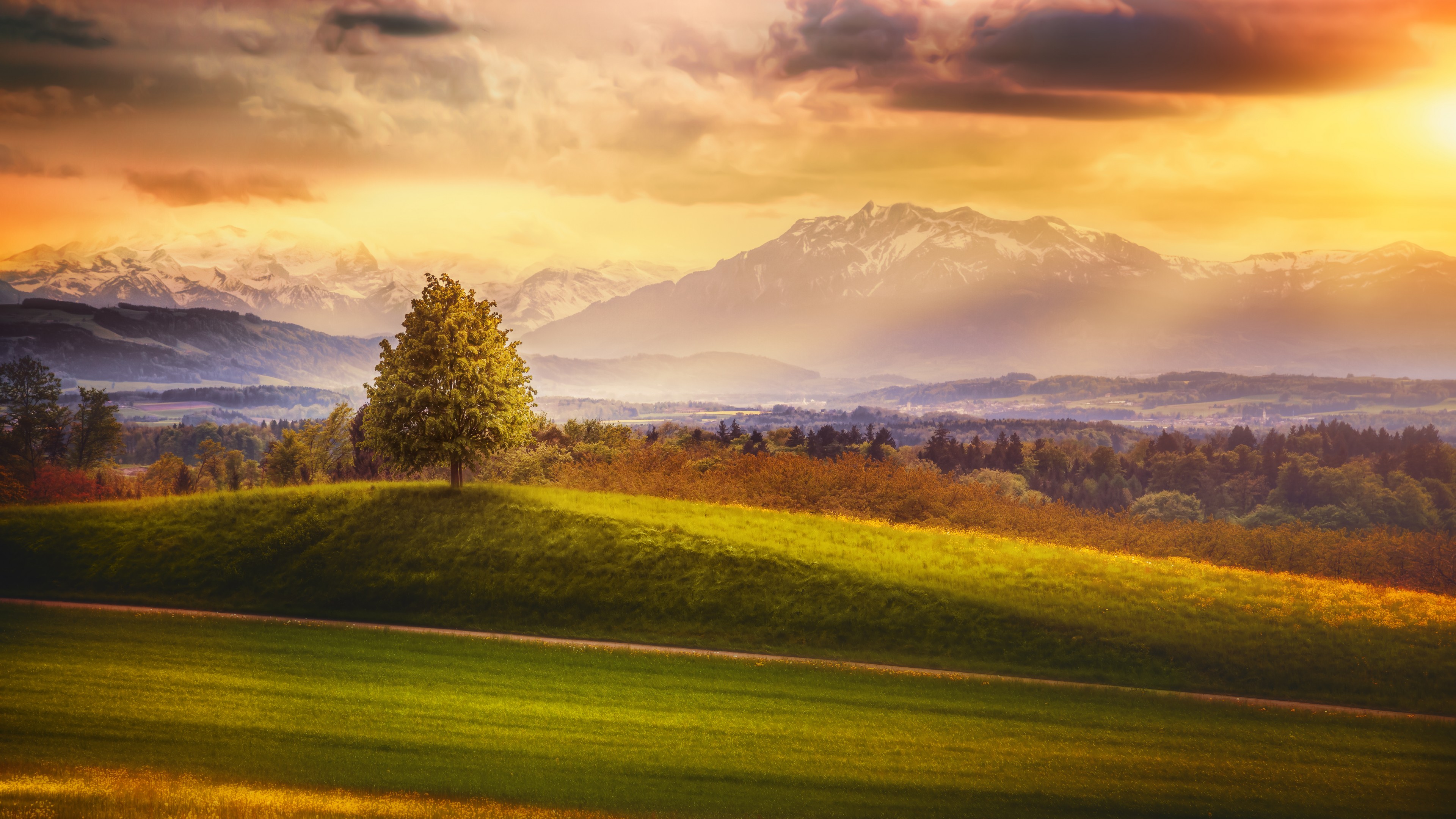 Switzerland, 4k, Alps, mountains, meadows, trees, HD Wallpaper