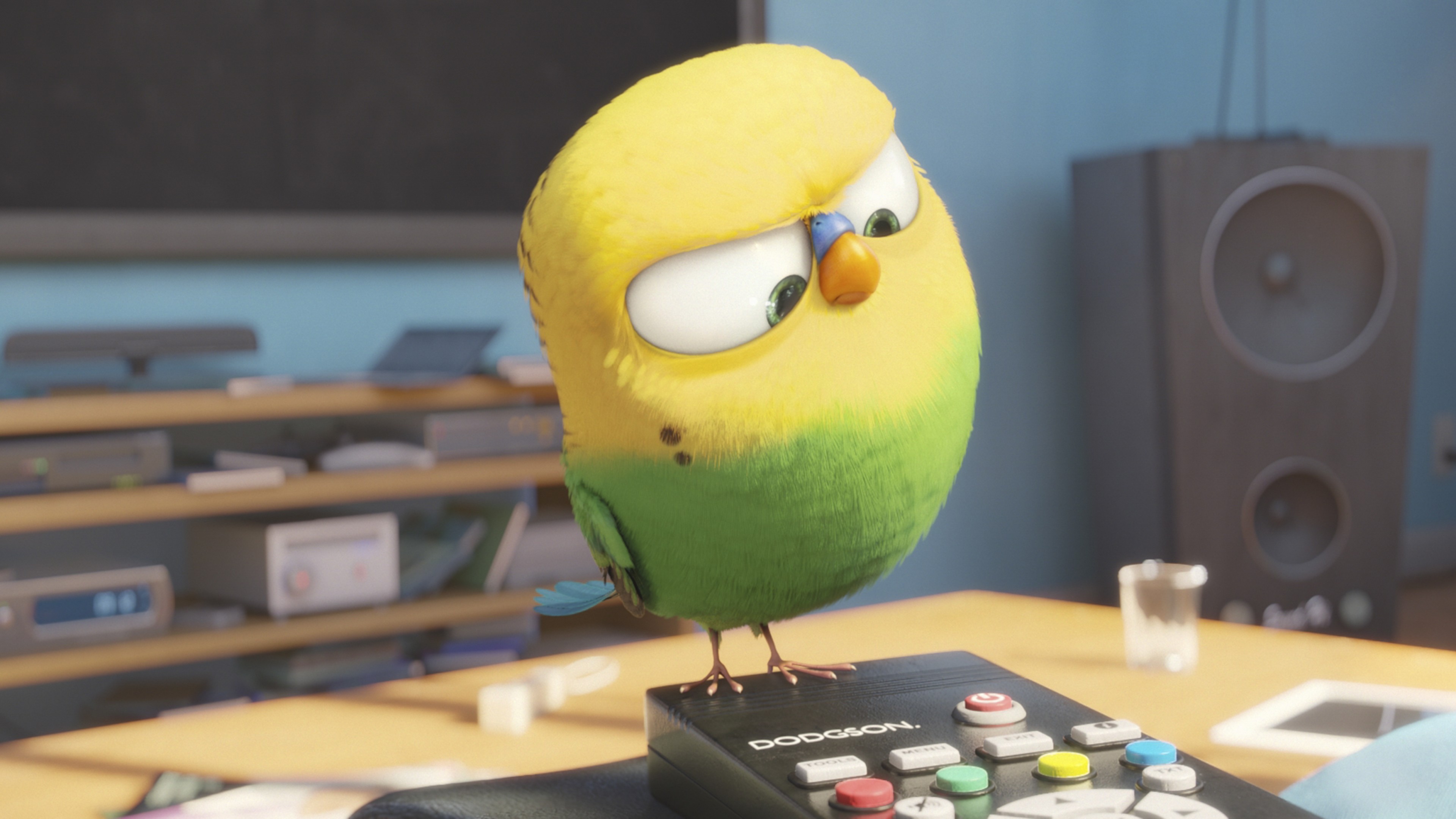 The Secret Life of Pets, Best Animation Movies of 2016, cartoon, HD Wallpaper