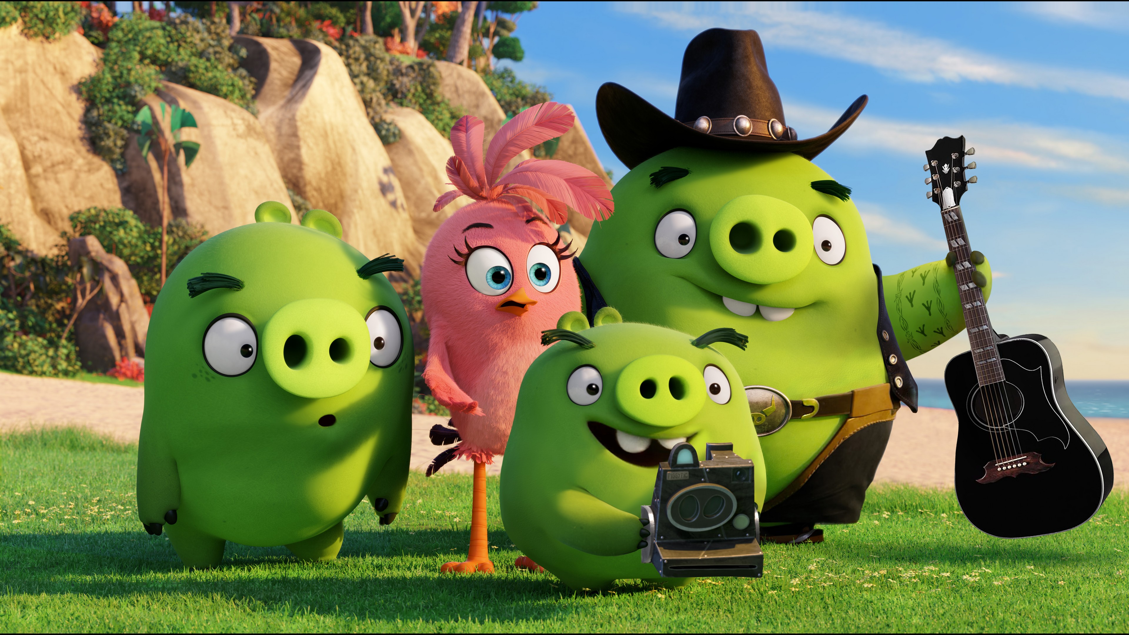 Angry Birds, Green pigs, family, Animation 2016, HD Wallpaper