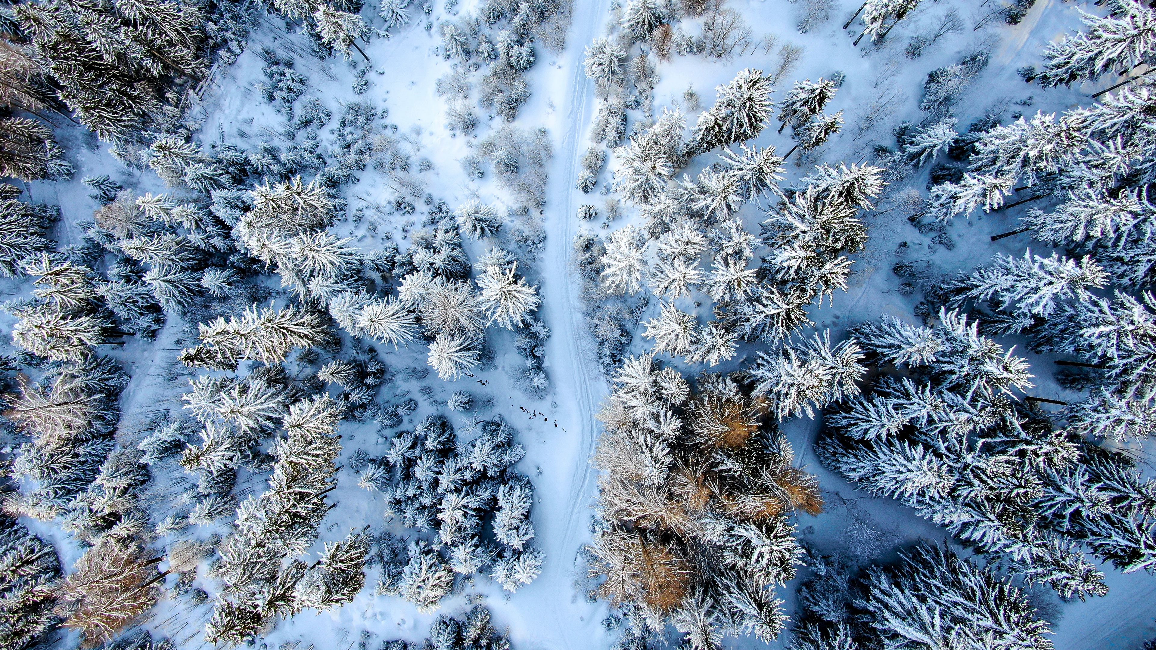 winter forest, road, aerial view, snow, 4k, HD Wallpaper