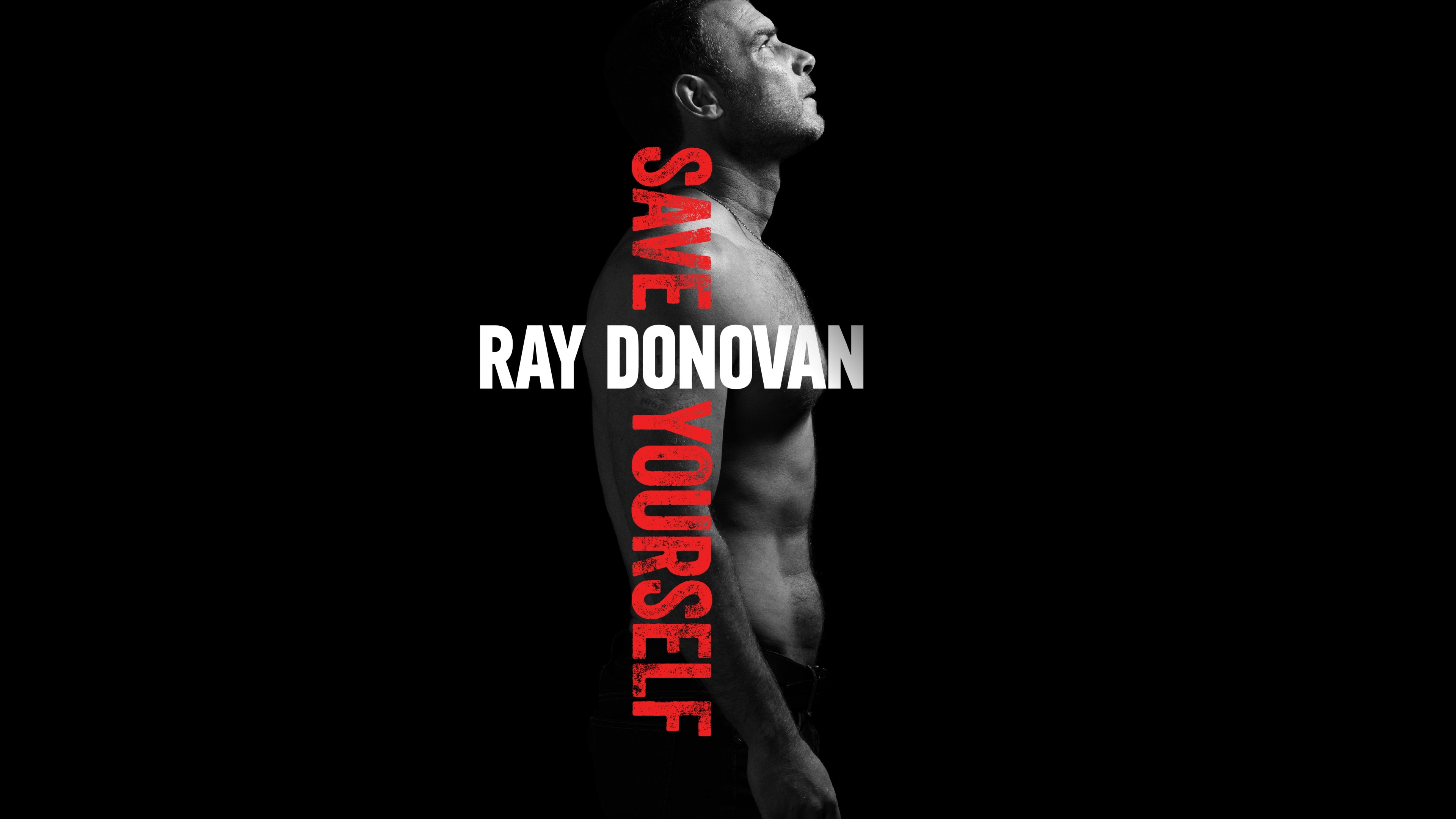 Ray Donovan, season 4, Liev Schreiber, Best TV Series, HD Wallpaper