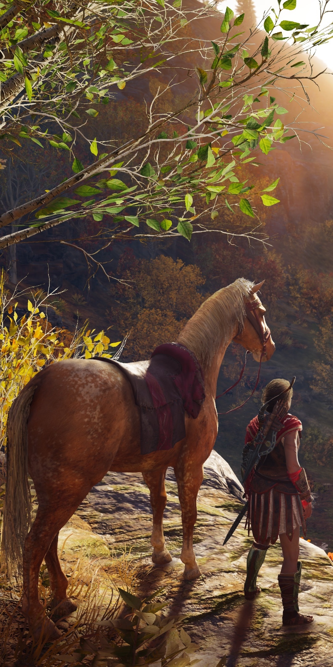 Video Game Assassins Creed Odyssey, 1080x2160, Phone HD Wallpaper