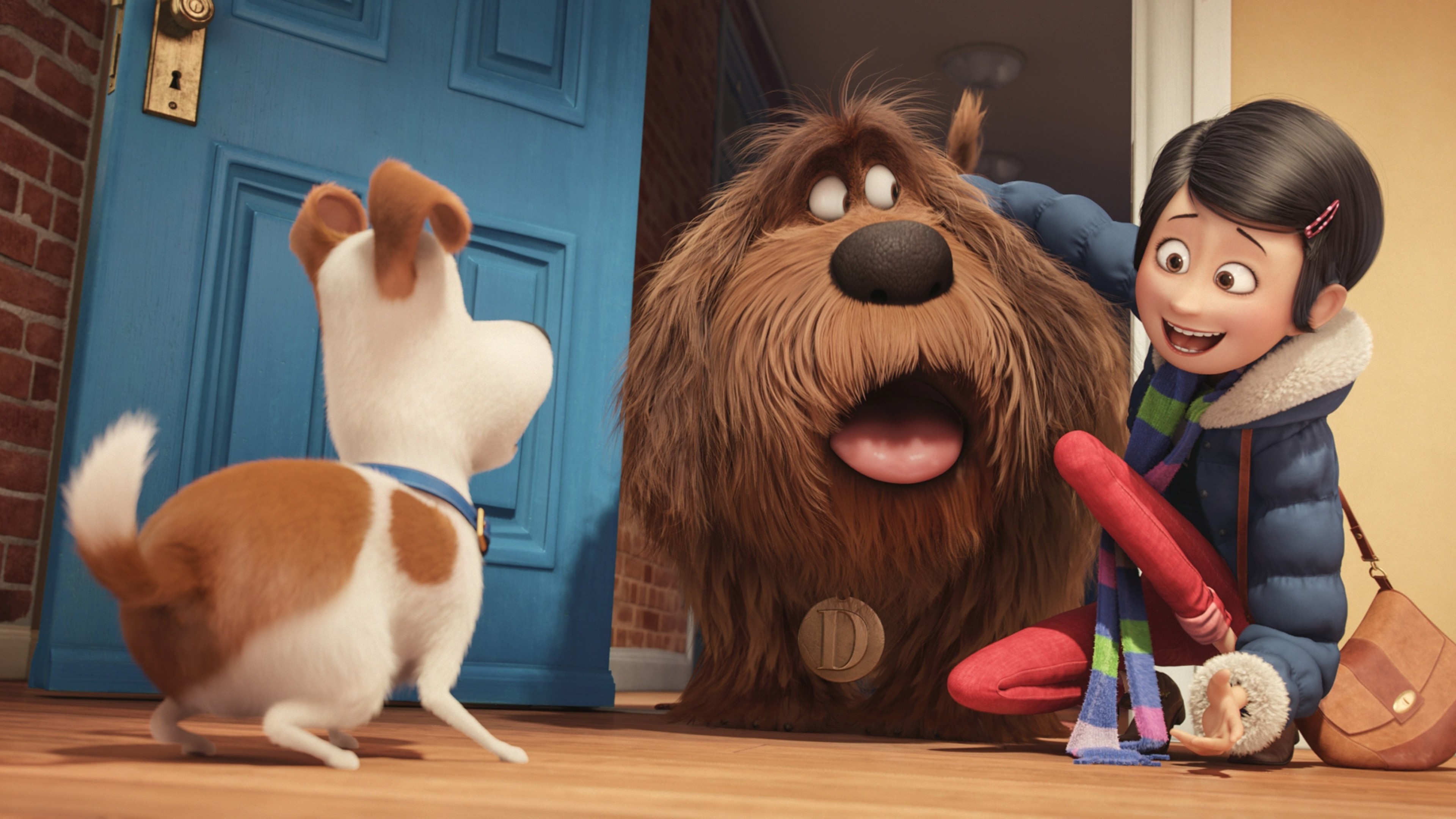 The Secret Life of Pets, dog, Best Animation Movies of 2016, cartoon, HD Wallpaper