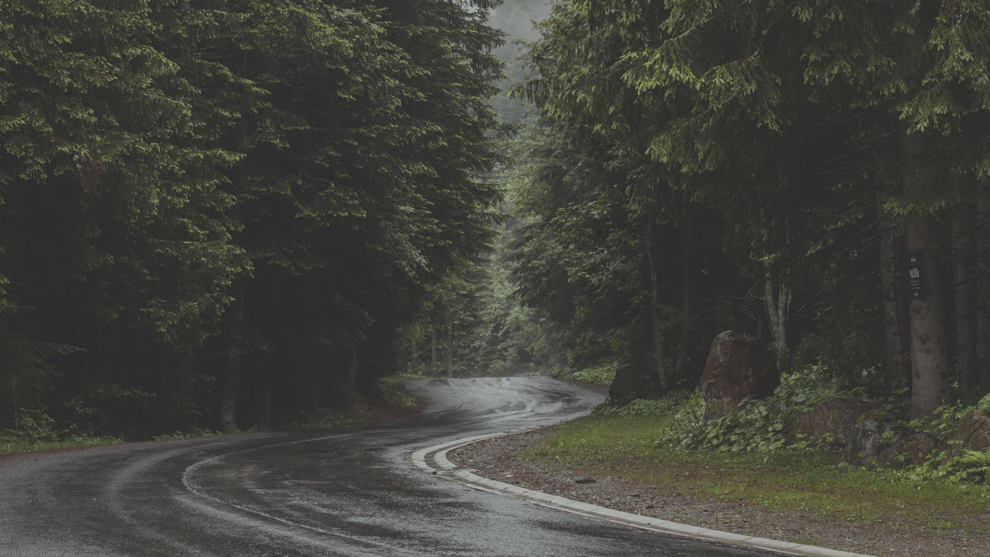 road, turn, forest, trees, 4k, HD Wallpaper