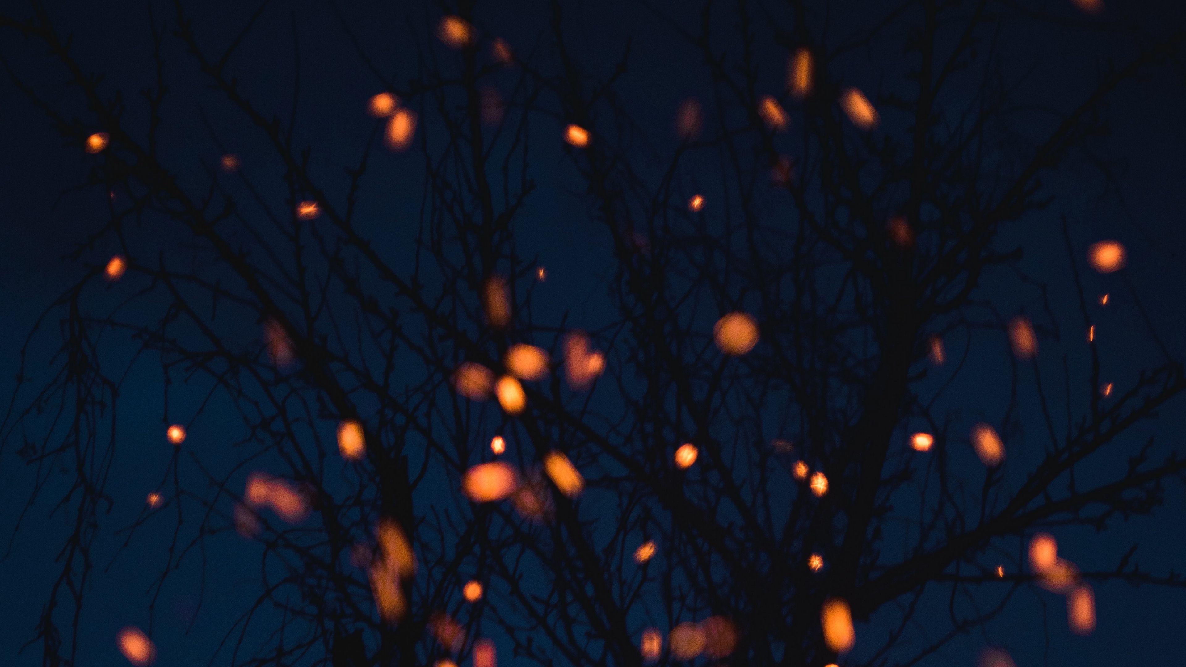 chronicle, branches, lights, dark, 4k, HD Wallpaper