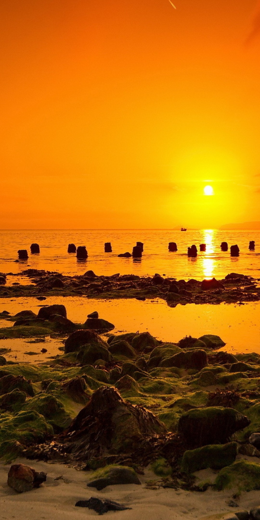 Earth Sunset, Ocean, Sea, Yellow, 1080x2160, Phone HD Wallpaper