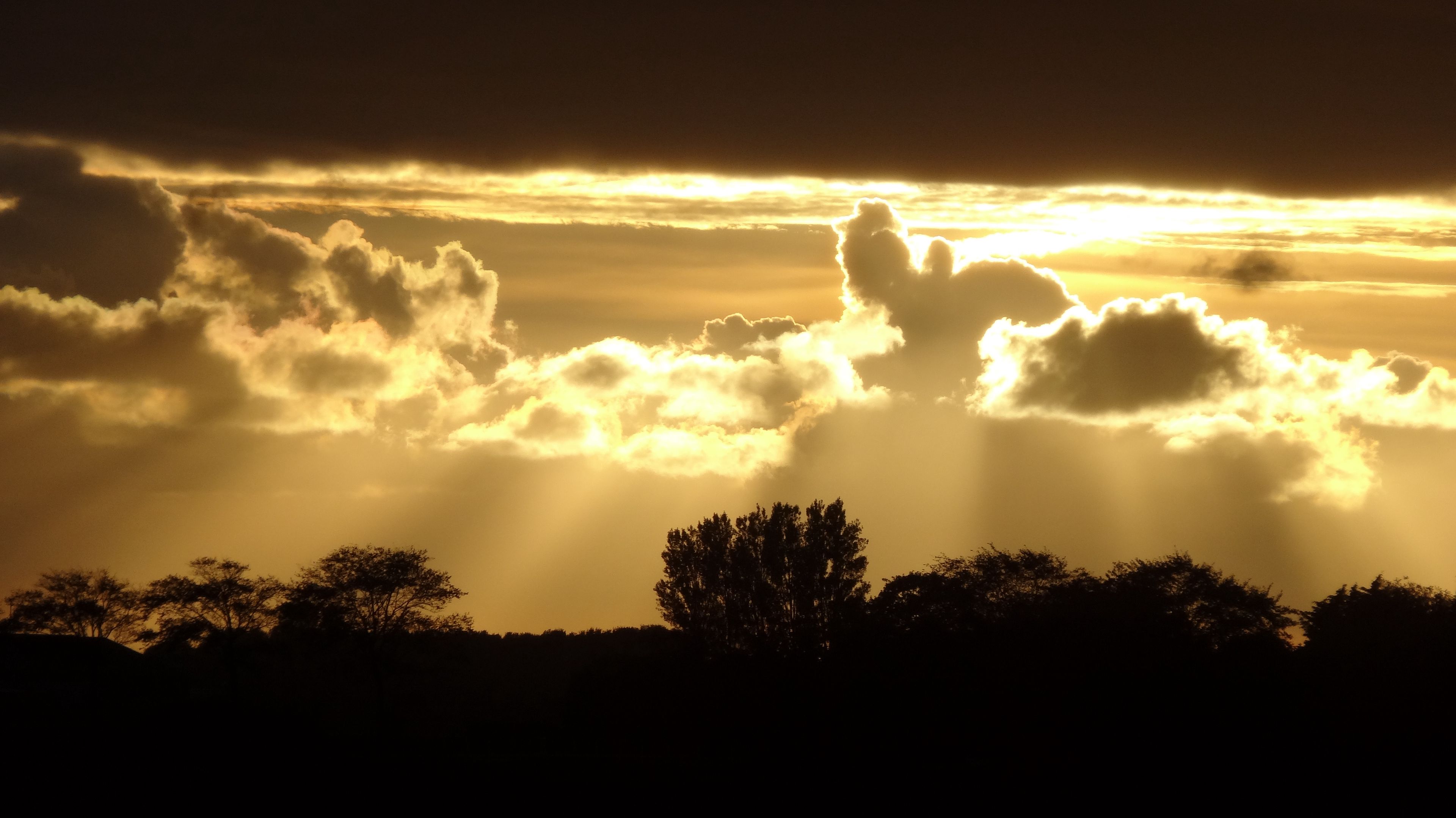sunset, silhouette, trees, rays, 4k, HD Wallpaper