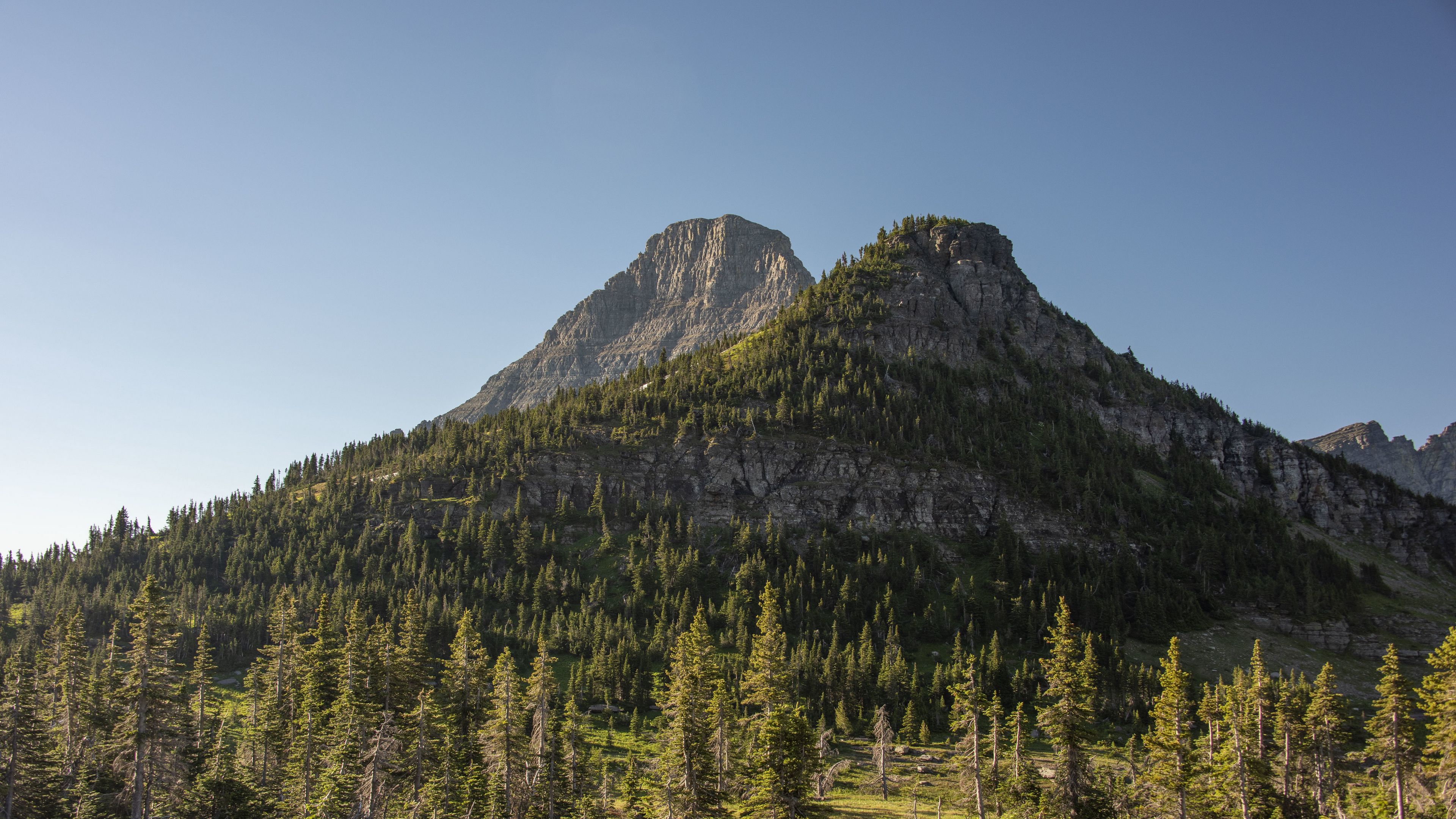 mountains, rocks, trees, spruce, sky, 4k, HD Wallpaper
