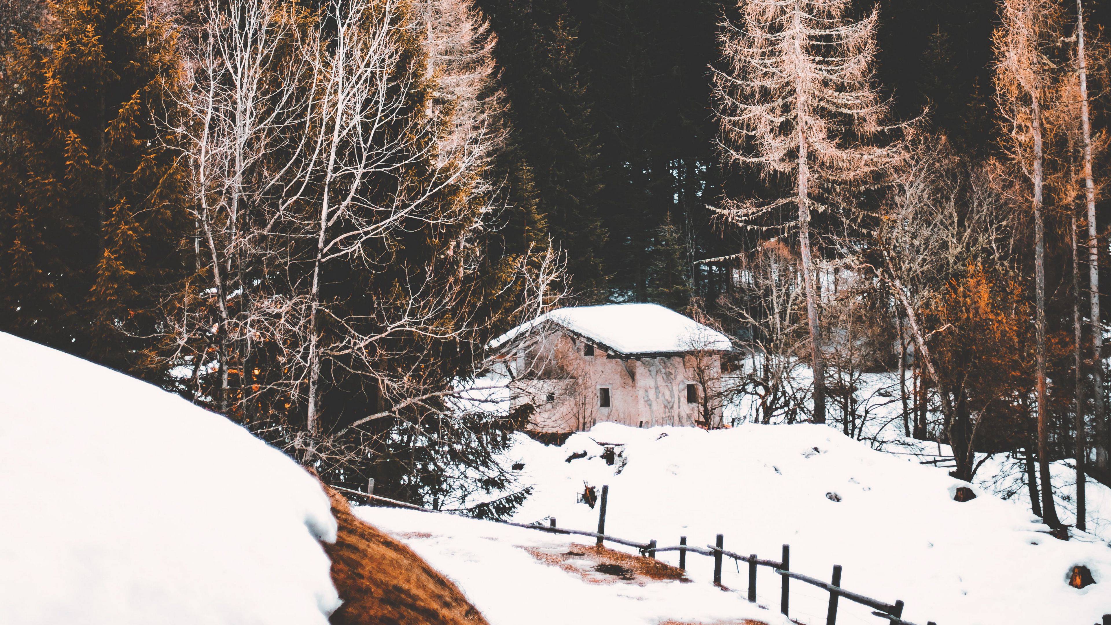 forest, fog, house, snow, 4k, HD Wallpaper