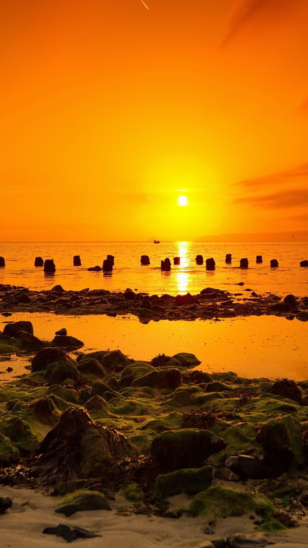 Earth Sunset, Ocean, Sea, Yellow, 1080x1920, Phone HD Wallpaper