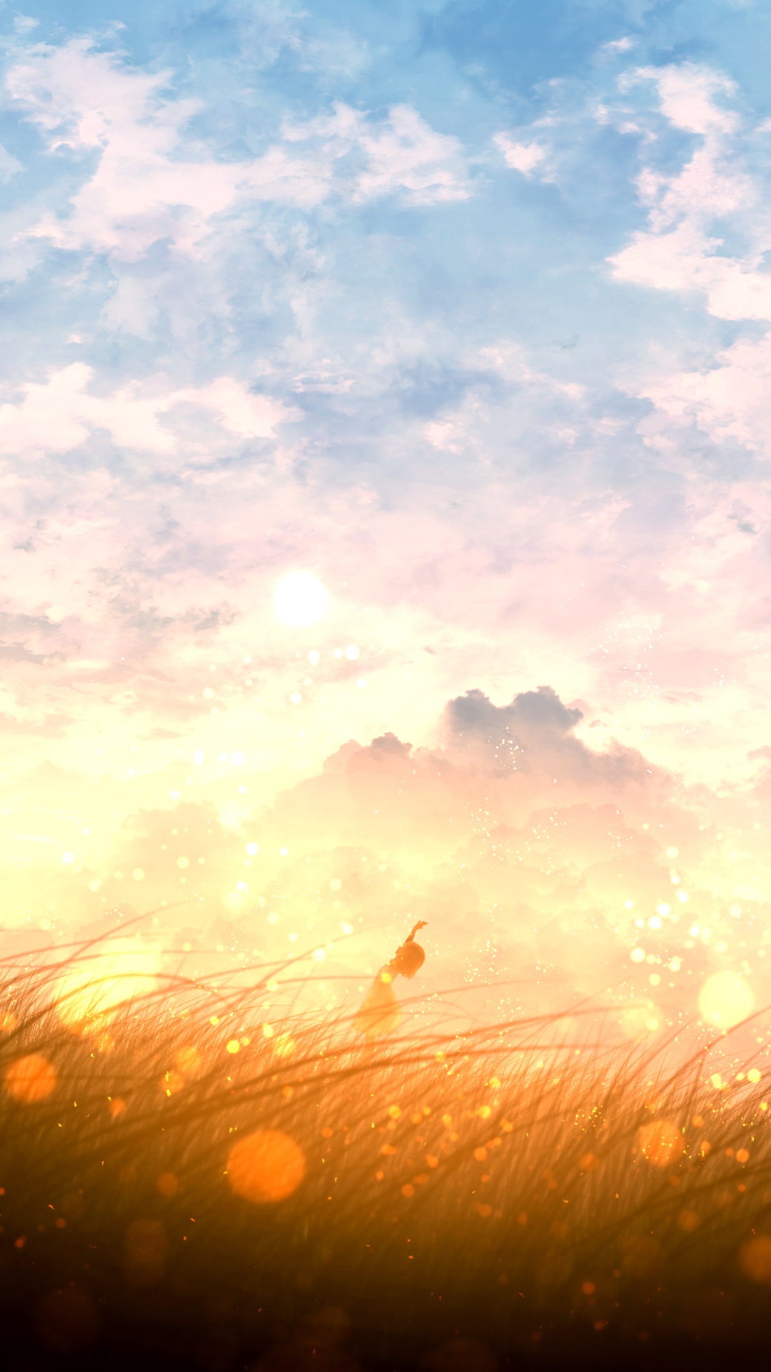 Anime Sunset, Sky, Field, Cloud, 1080x1920, Phone HD Wallpaper