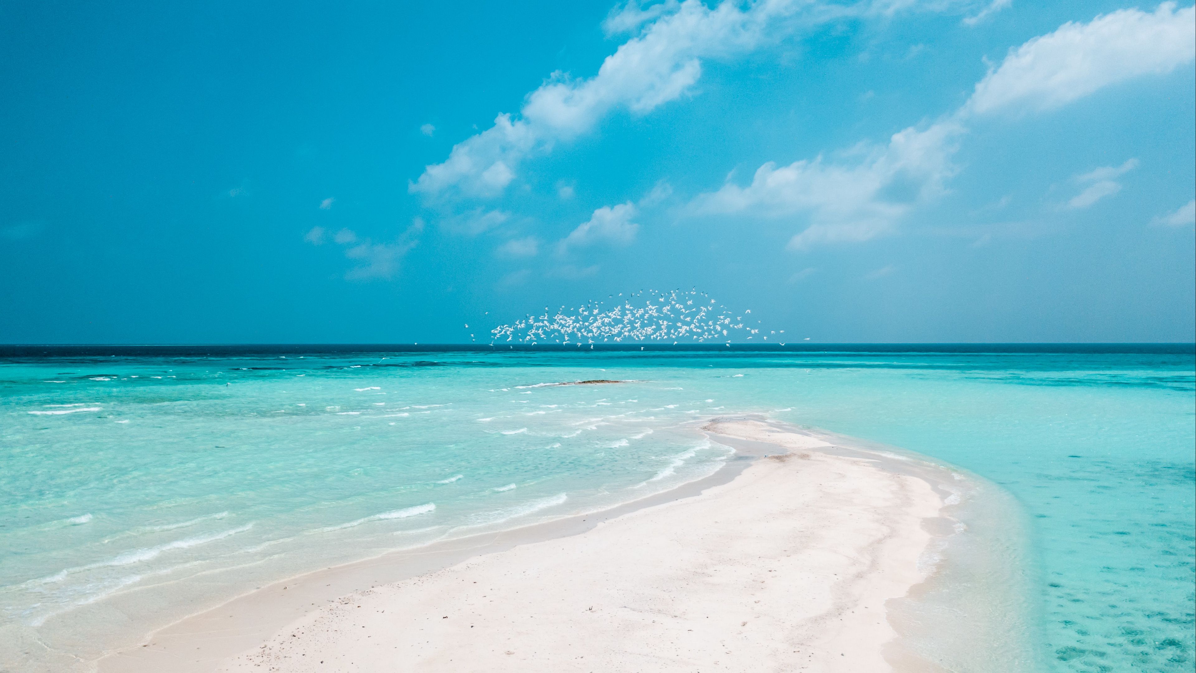 beach, horizon, sand, coast, 4k, HD Wallpaper