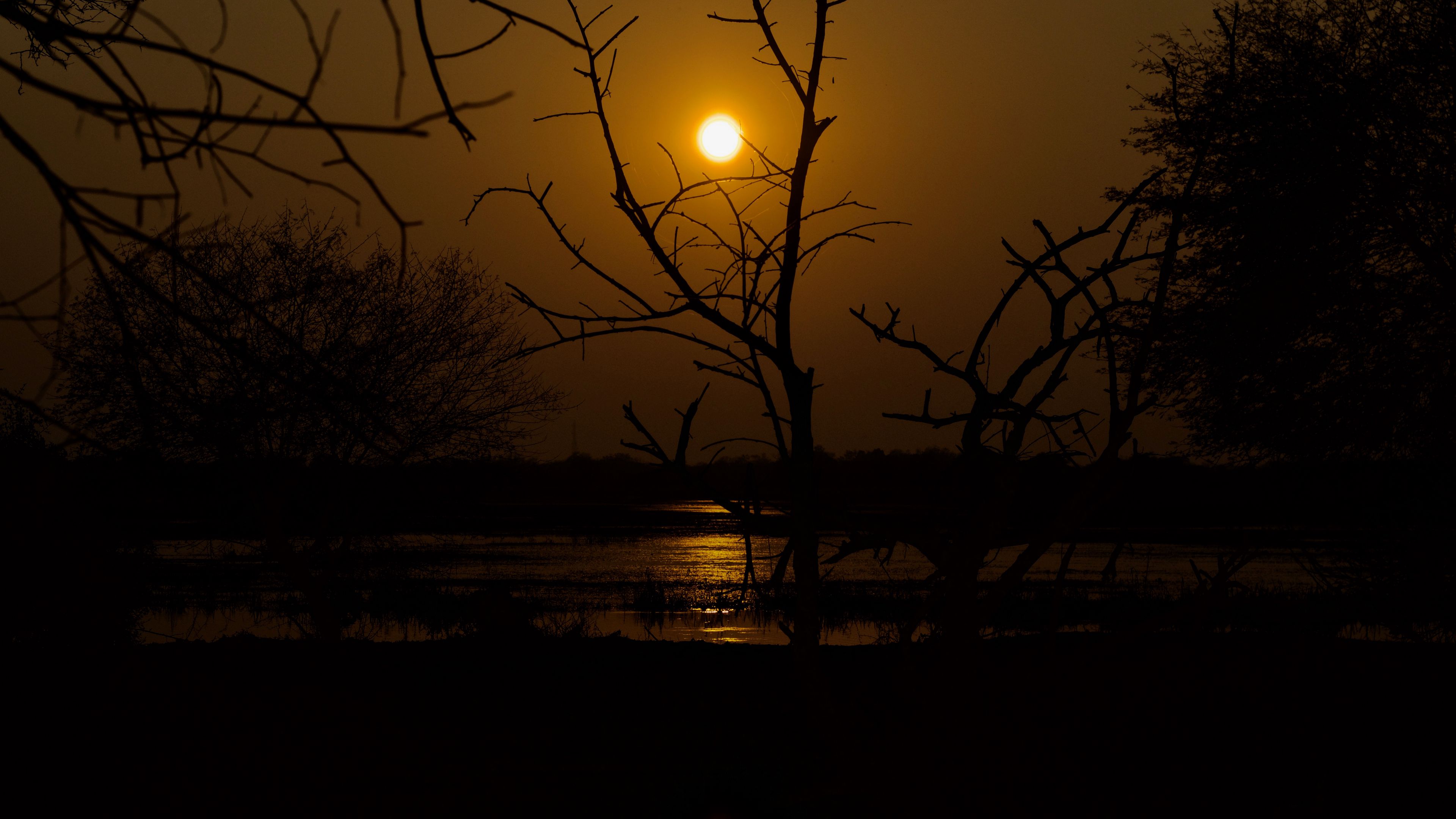 sunset, trees, water, dark, dusk, 4k, HD Wallpaper
