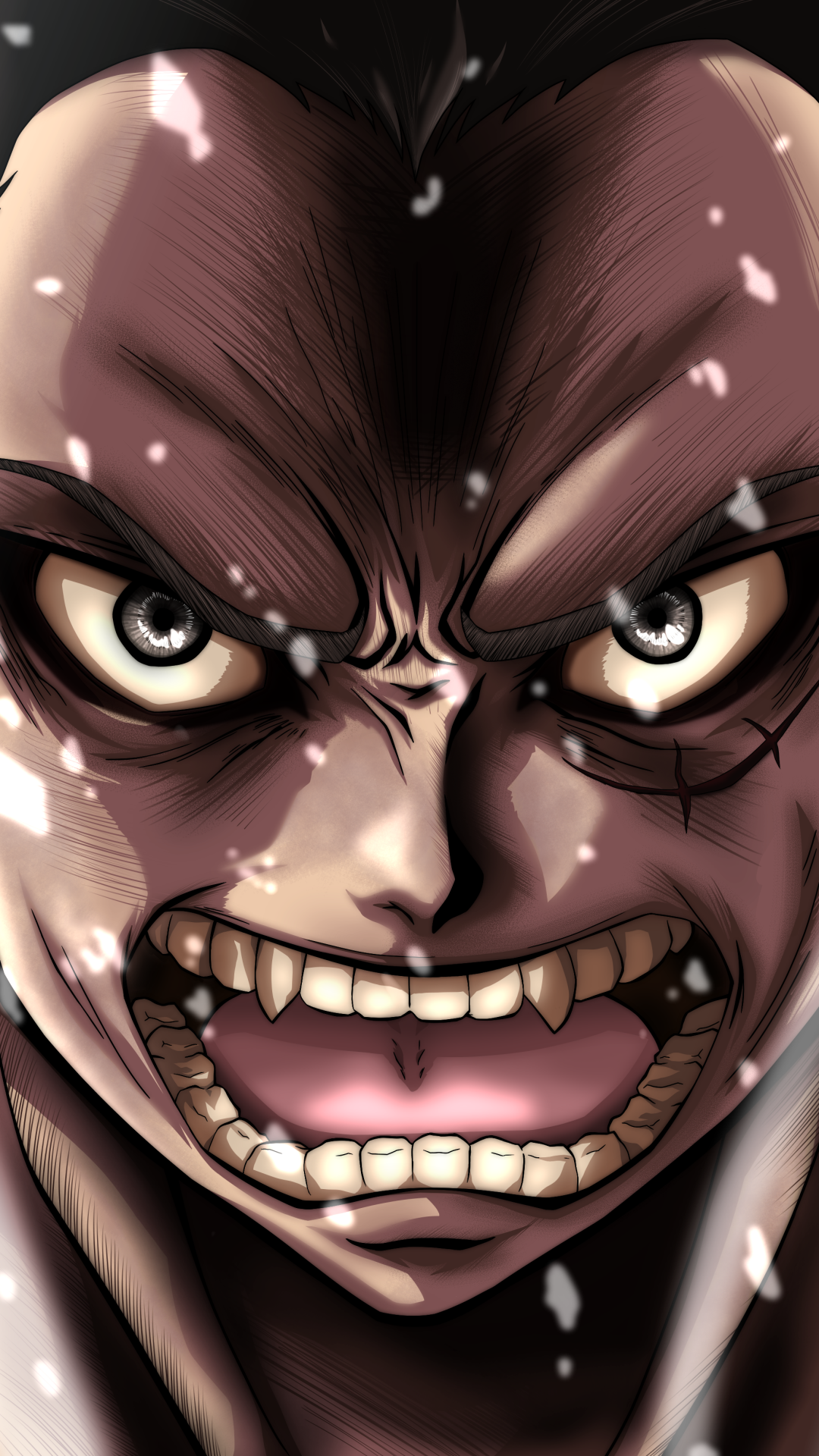 Anime One Piece, Gear Fourth, Monkey D. Luffy, 1080x1920, Phone HD Wallpaper