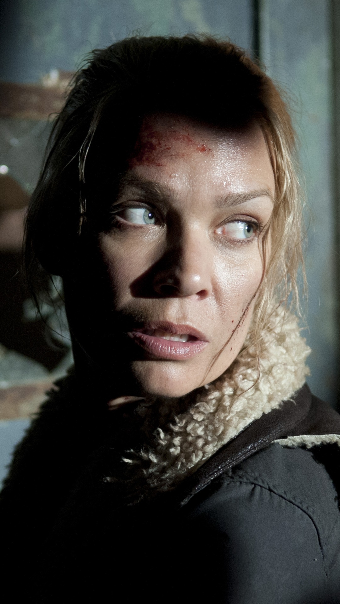 TV Show The Walking Dead, Laurie Holden, Andrea (The Walking Dead), 1080x1920, Phone HD Wallpaper