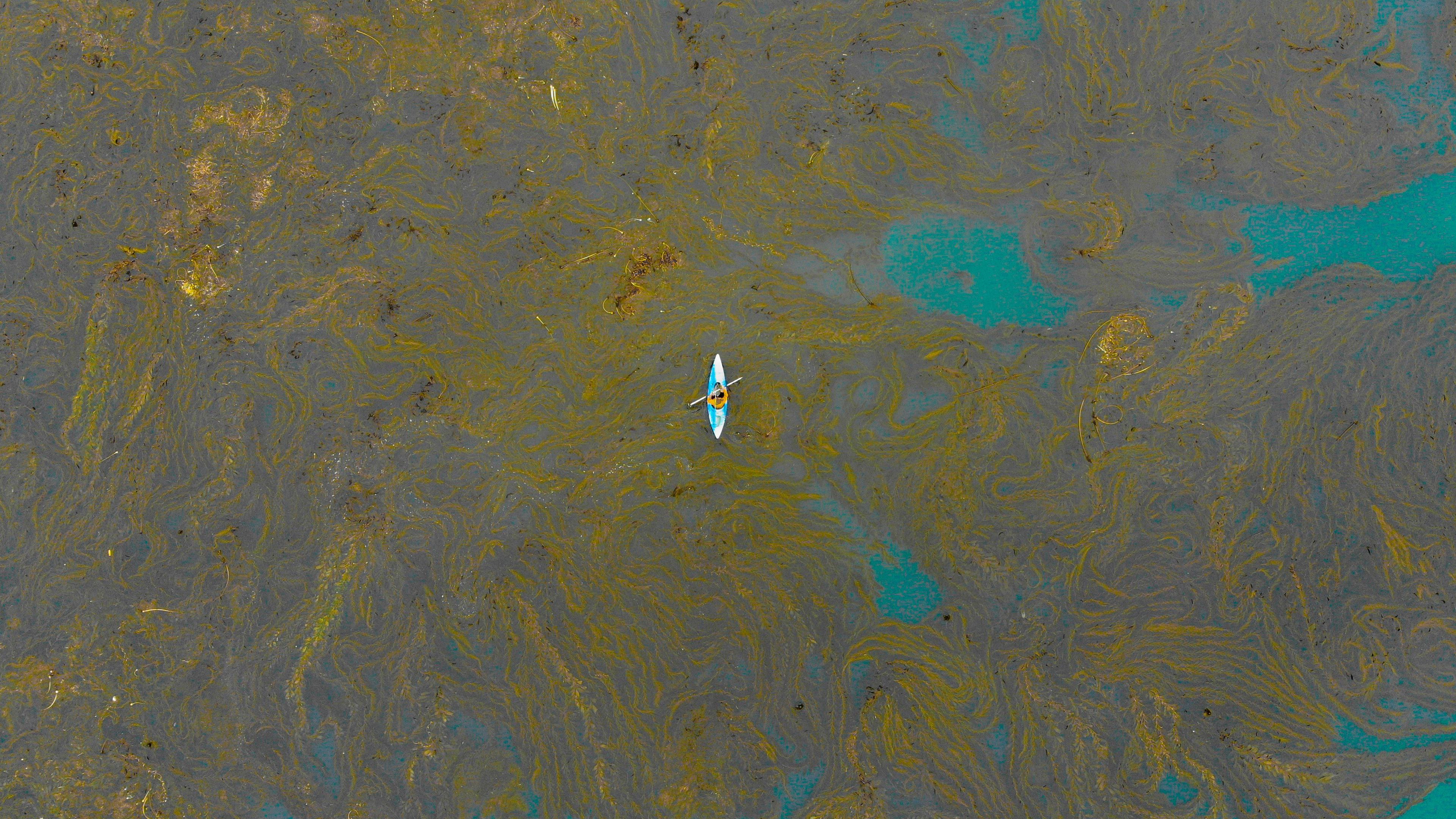 boat, lonely, stains, seaweed, 4k, HD Wallpaper