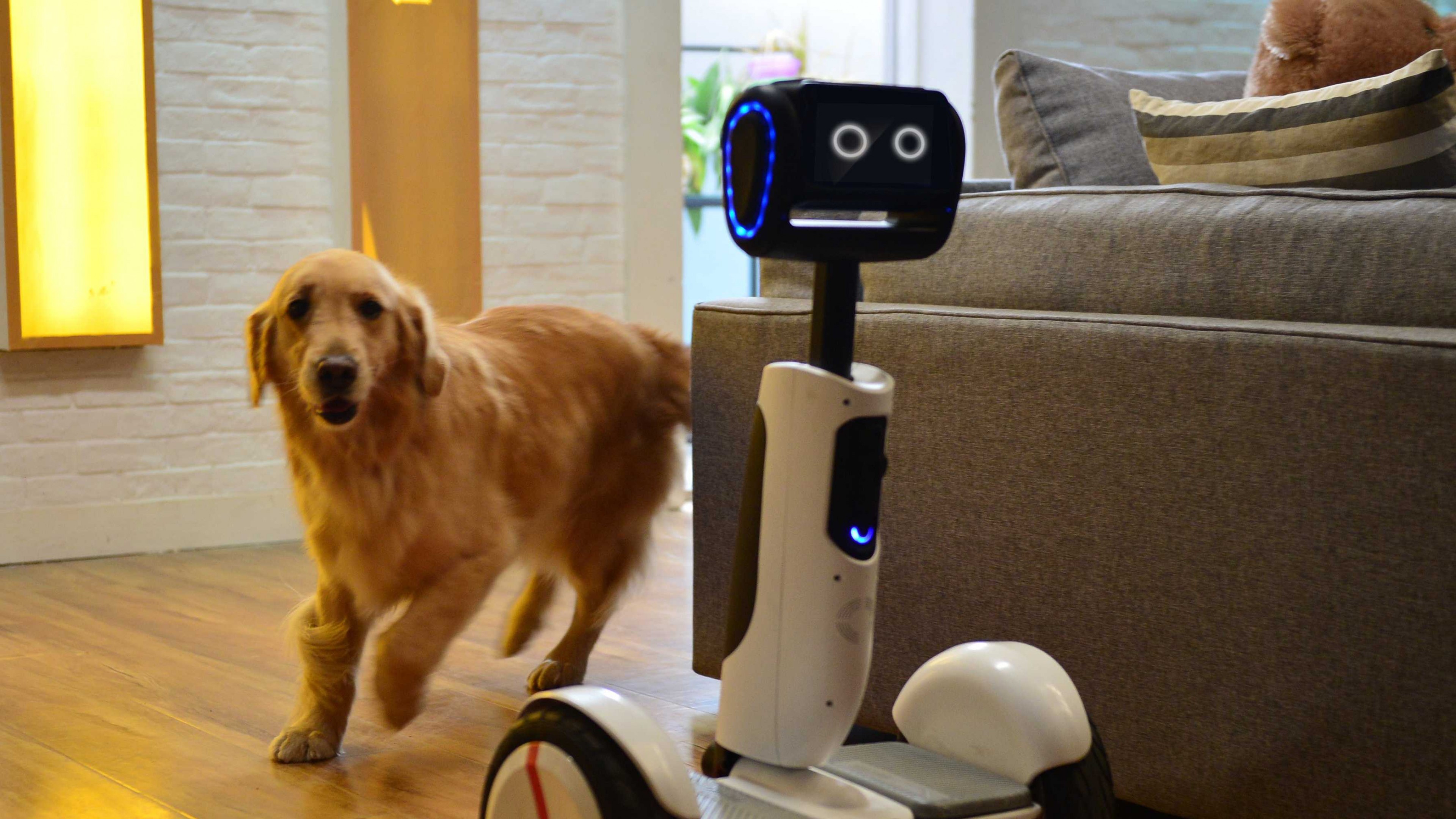 Hoverboard Butler, CES 2016, Intel, HD Wallpaper