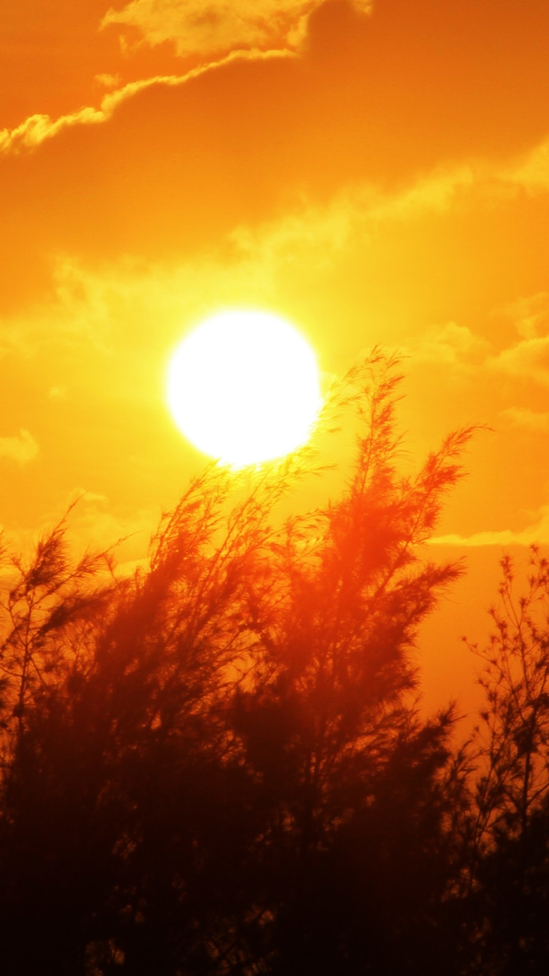 Earth Sunset, Sky, Sun, Orange (Color), Nature, 1080x1920, Phone HD Wallpaper