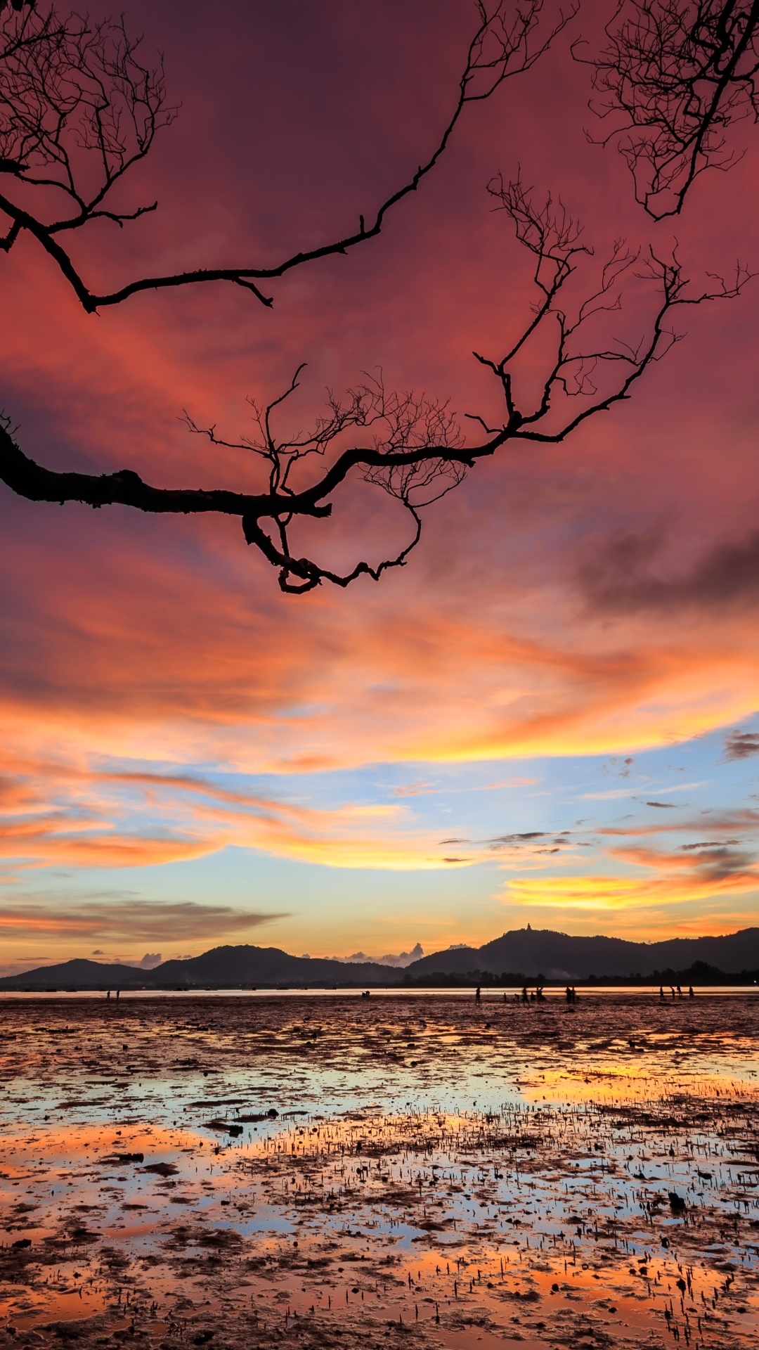Earth Sunset, Sky, Landscape, Nature, Cloud, 1080x1920, Phone HD Wallpaper