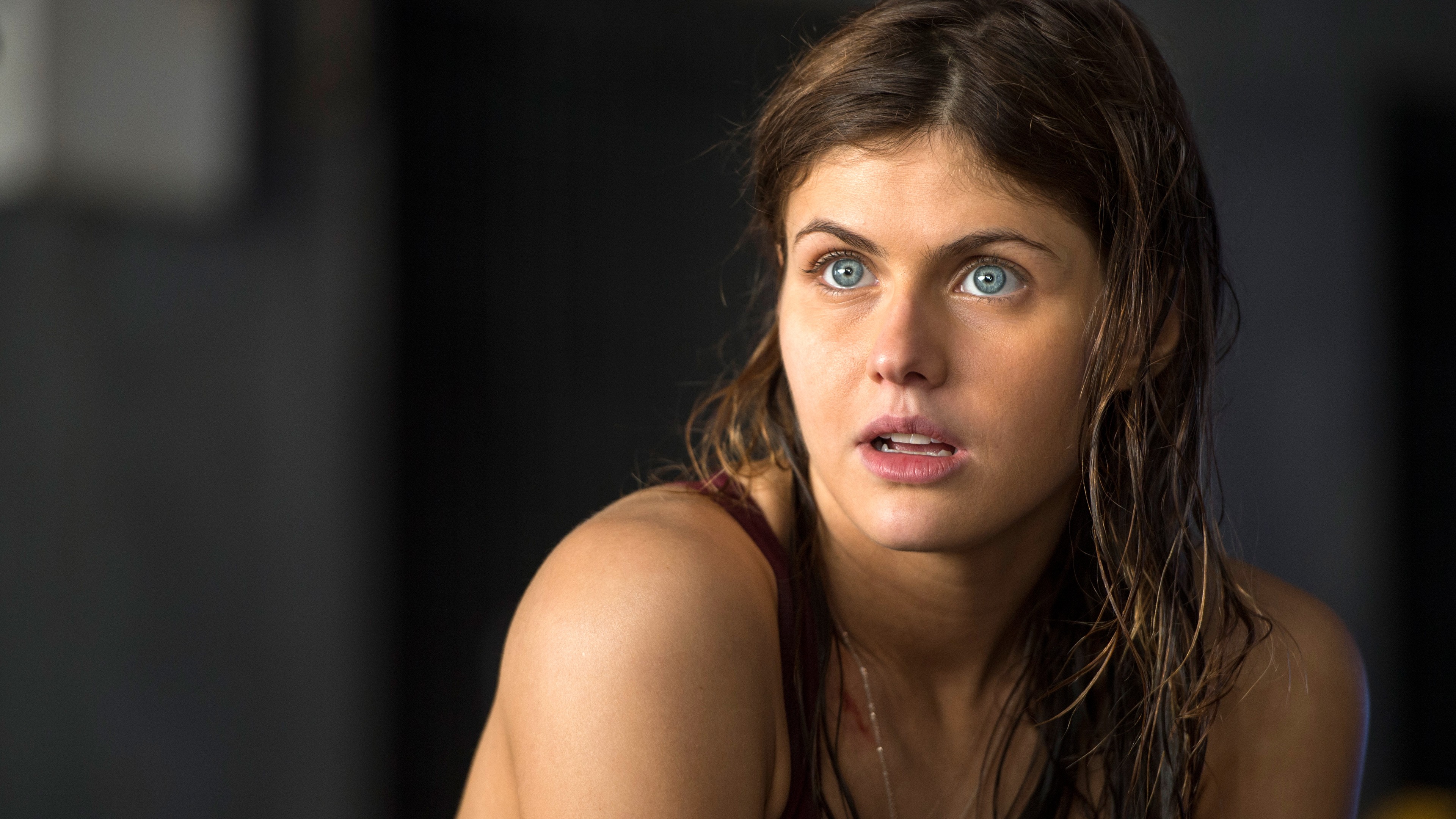 Alexandra Daddario, Most Popular Celebs, actress, San Andreas, HD Wallpaper
