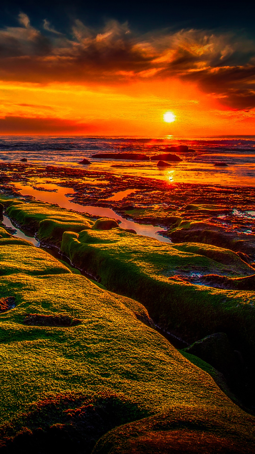 Earth Sunset, Moss, Horizon, Ocean, Nature, 1080x1920, Phone HD Wallpaper