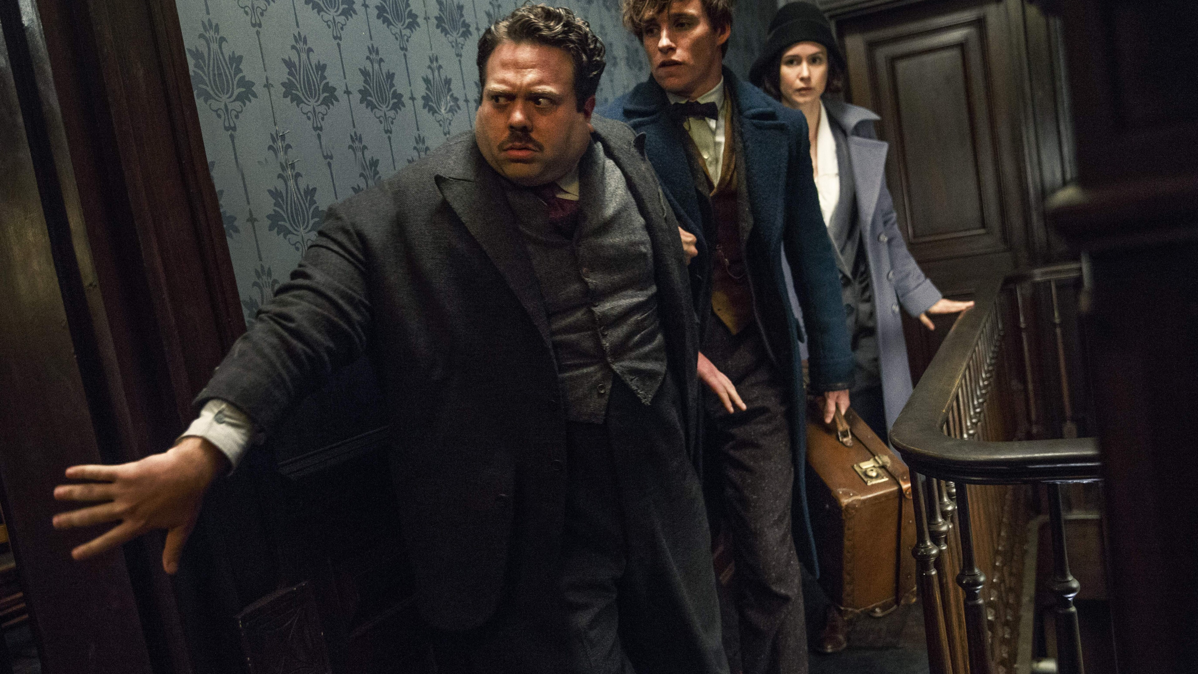 Fantastic Beasts And Where To Find Them, Eddie Redmayne, Best Movies, HD Wallpaper