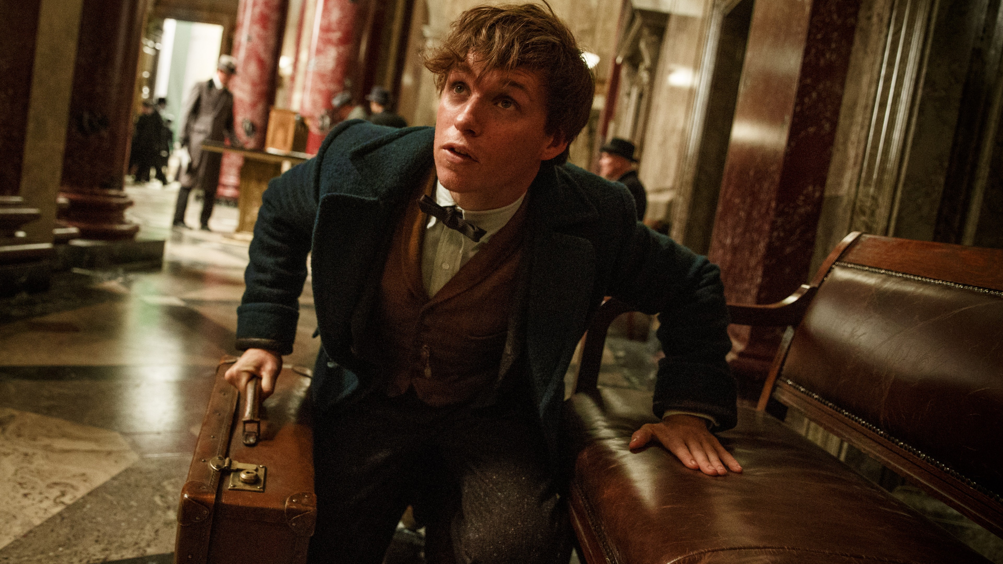 Fantastic Beasts And Where To Find Them, Eddie Redmayne, Best Movies, HD Wallpaper