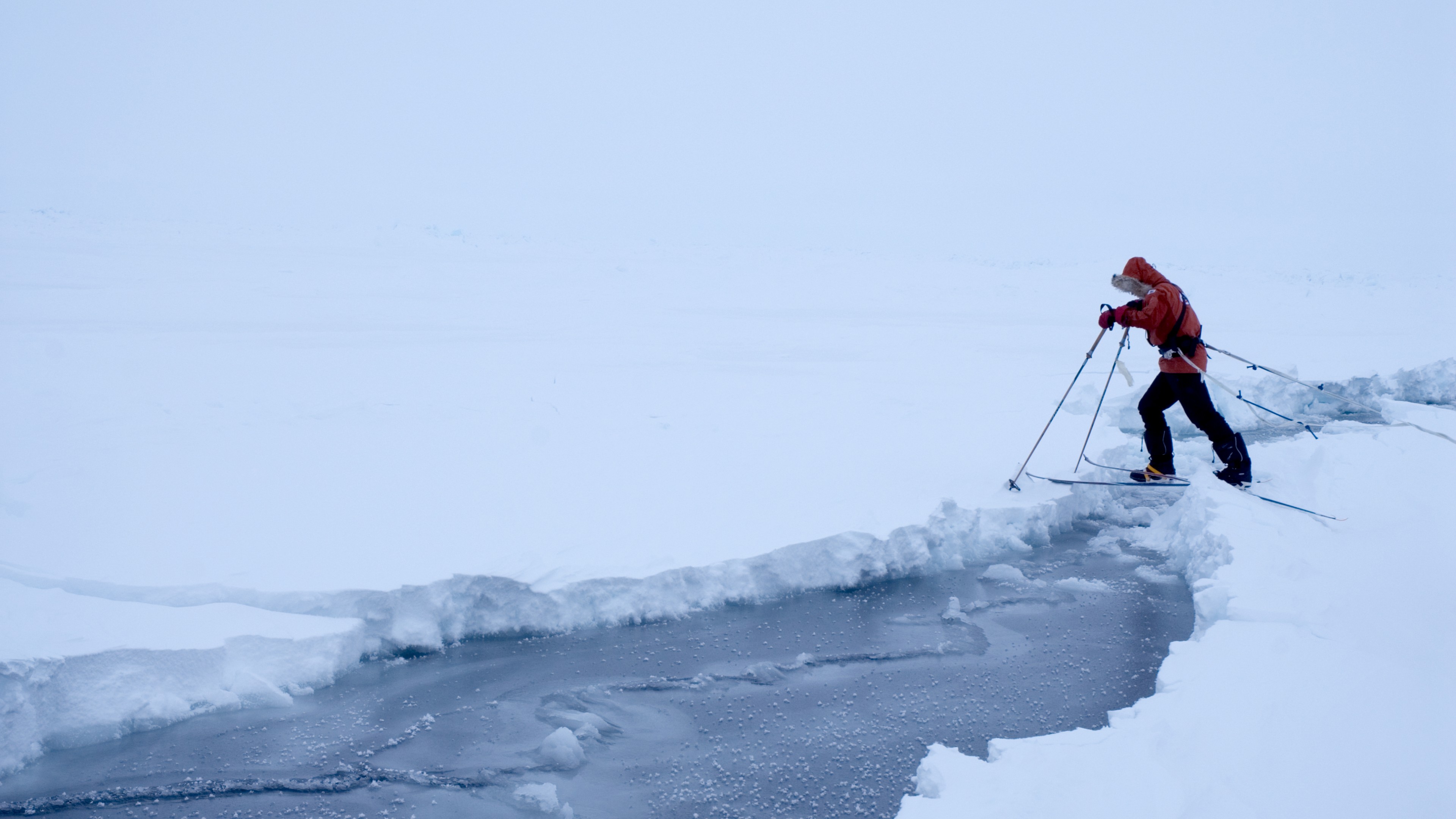 Winter, 4k, extreme, National Geographic, HD Wallpaper
