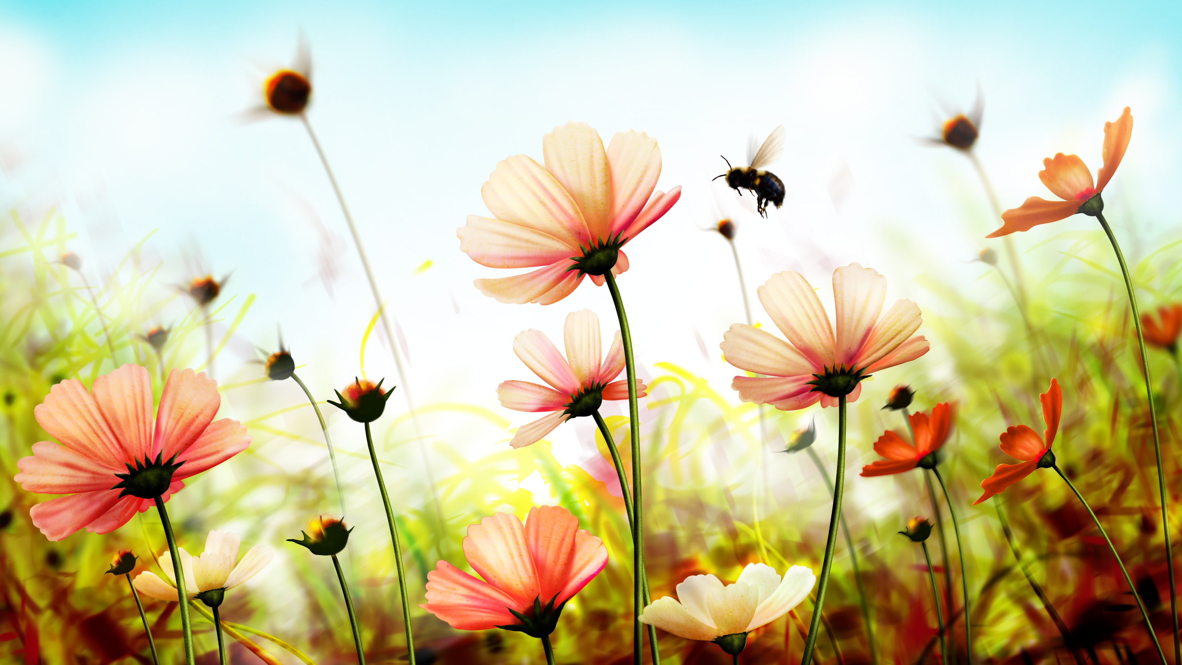 Flowers, 4k, spring, art, HD Wallpaper