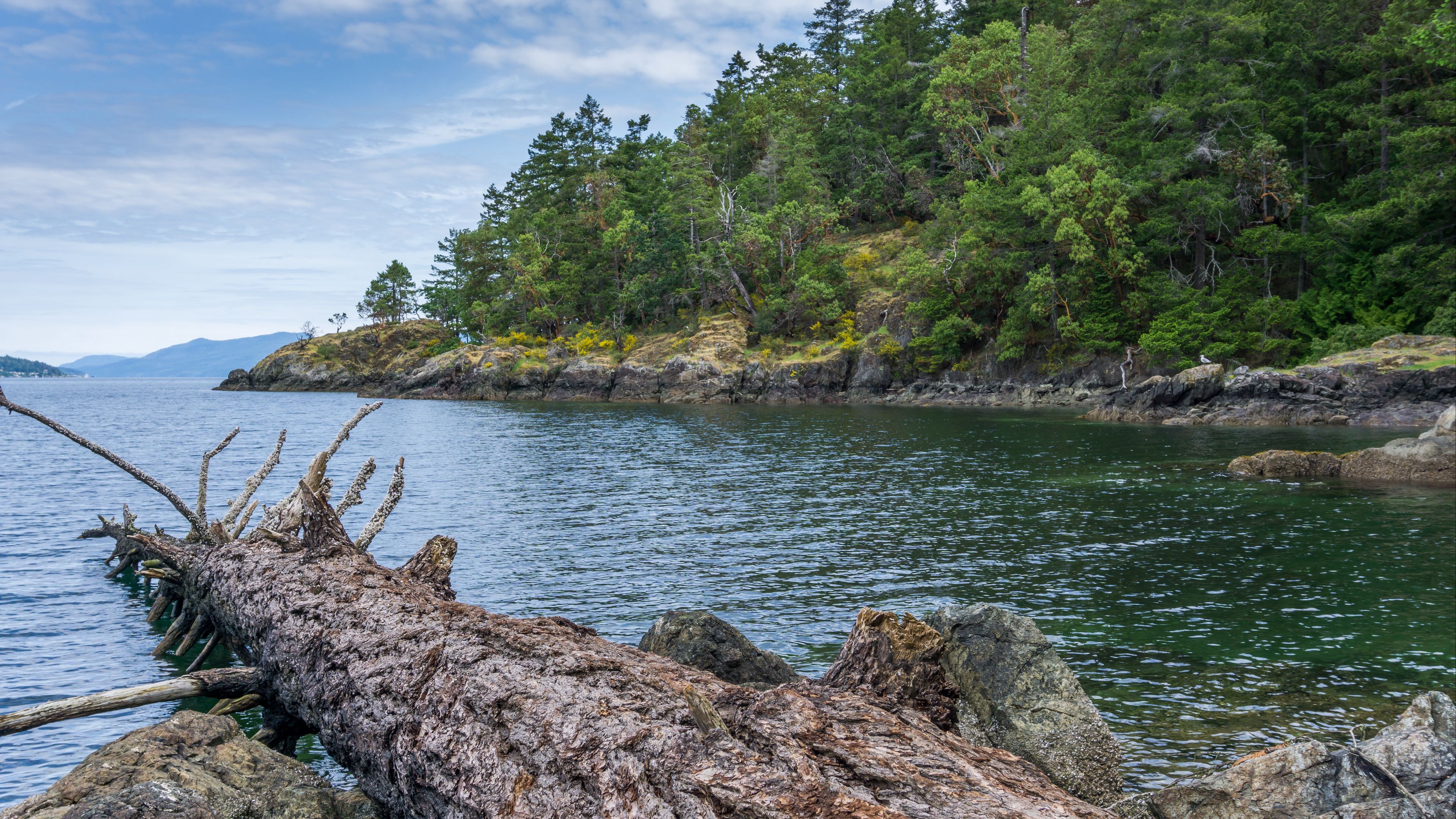river, coast, trees, rocks, nature, 4k, HD Wallpaper