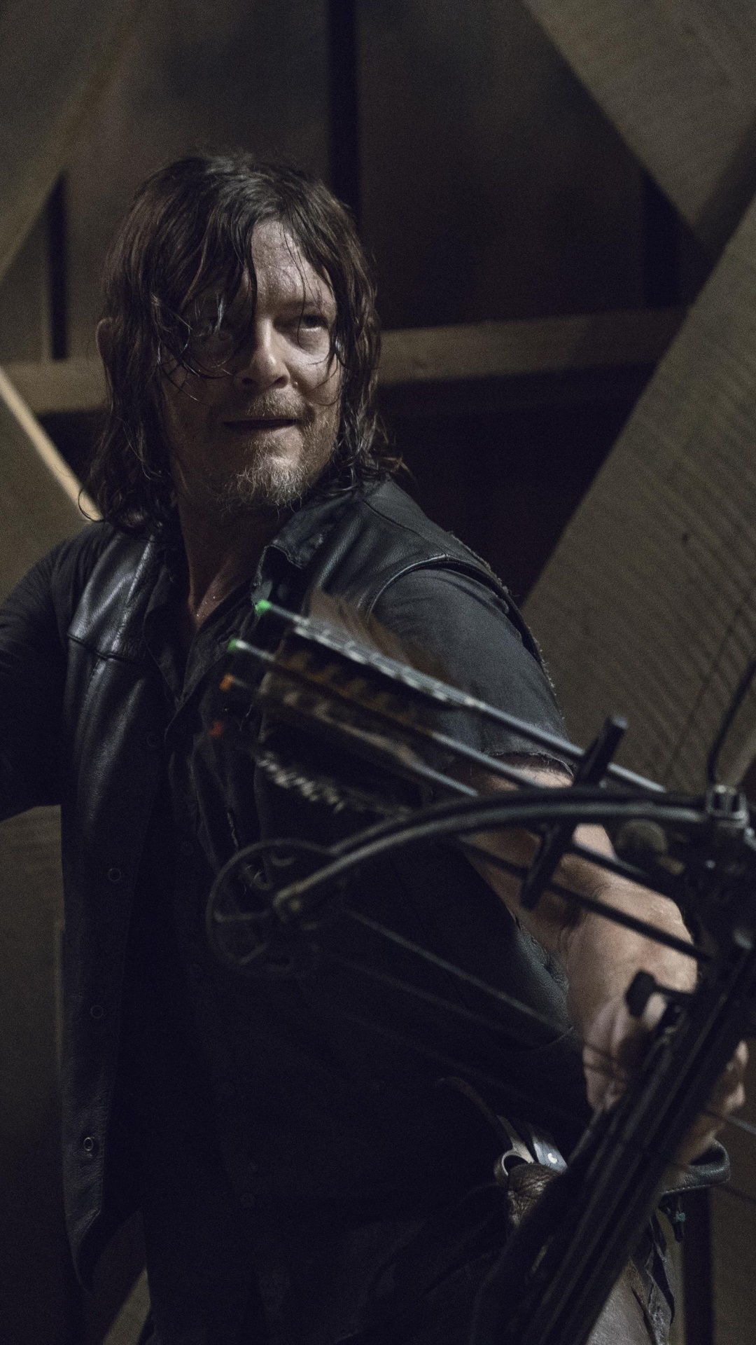 TV Show The Walking Dead, Daryl Dixon, Norman Reedus, 1080x1920, Phone HD Wallpaper