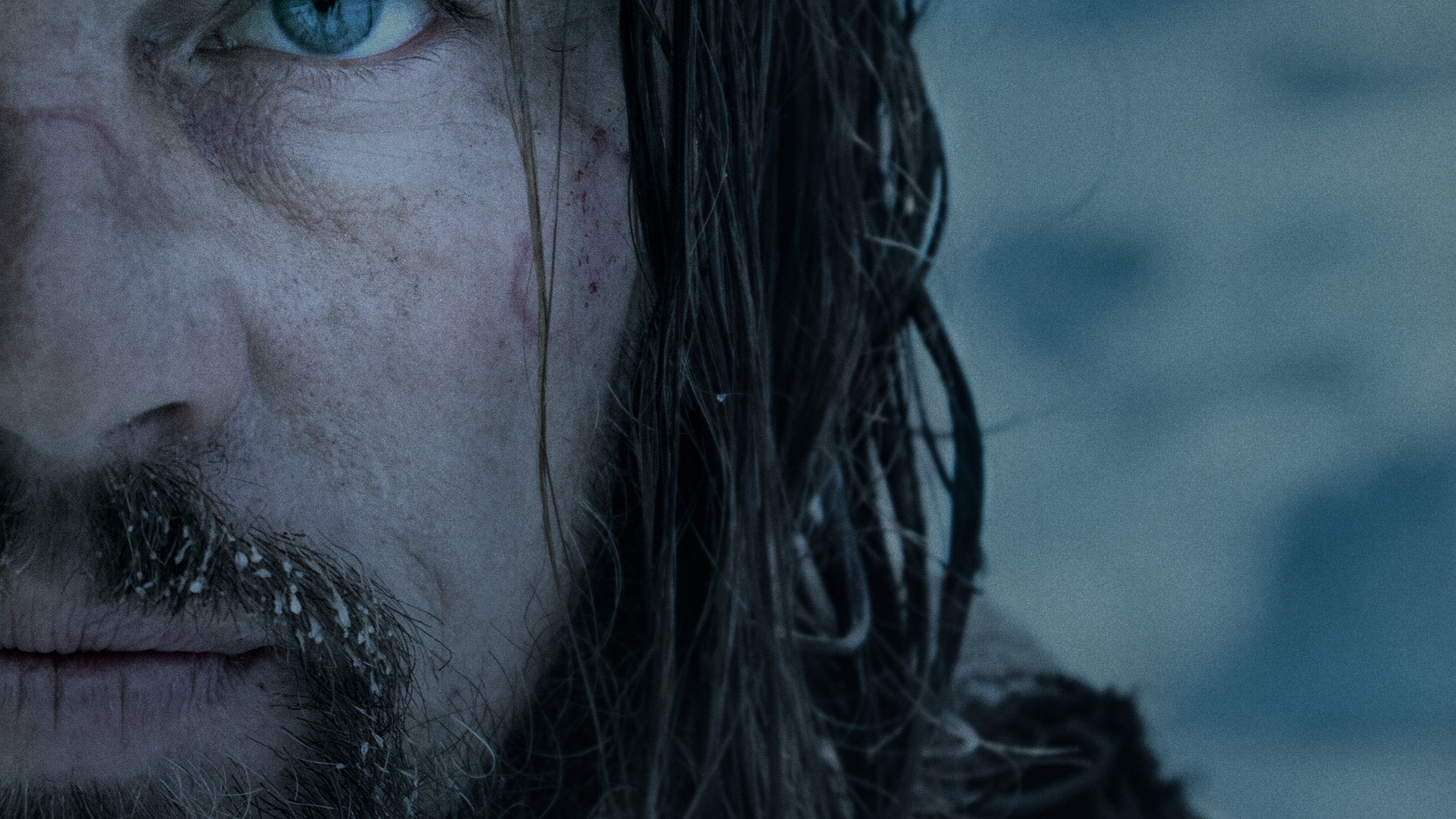 The Revenant, Leonardo DiCaprio, HD Wallpaper