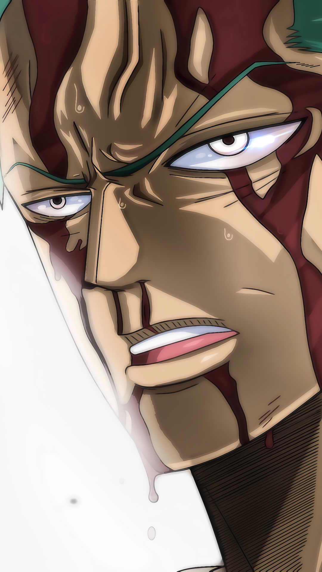 Anime One Piece, Roronoa Zoro, 1080x1920, Phone HD Wallpaper