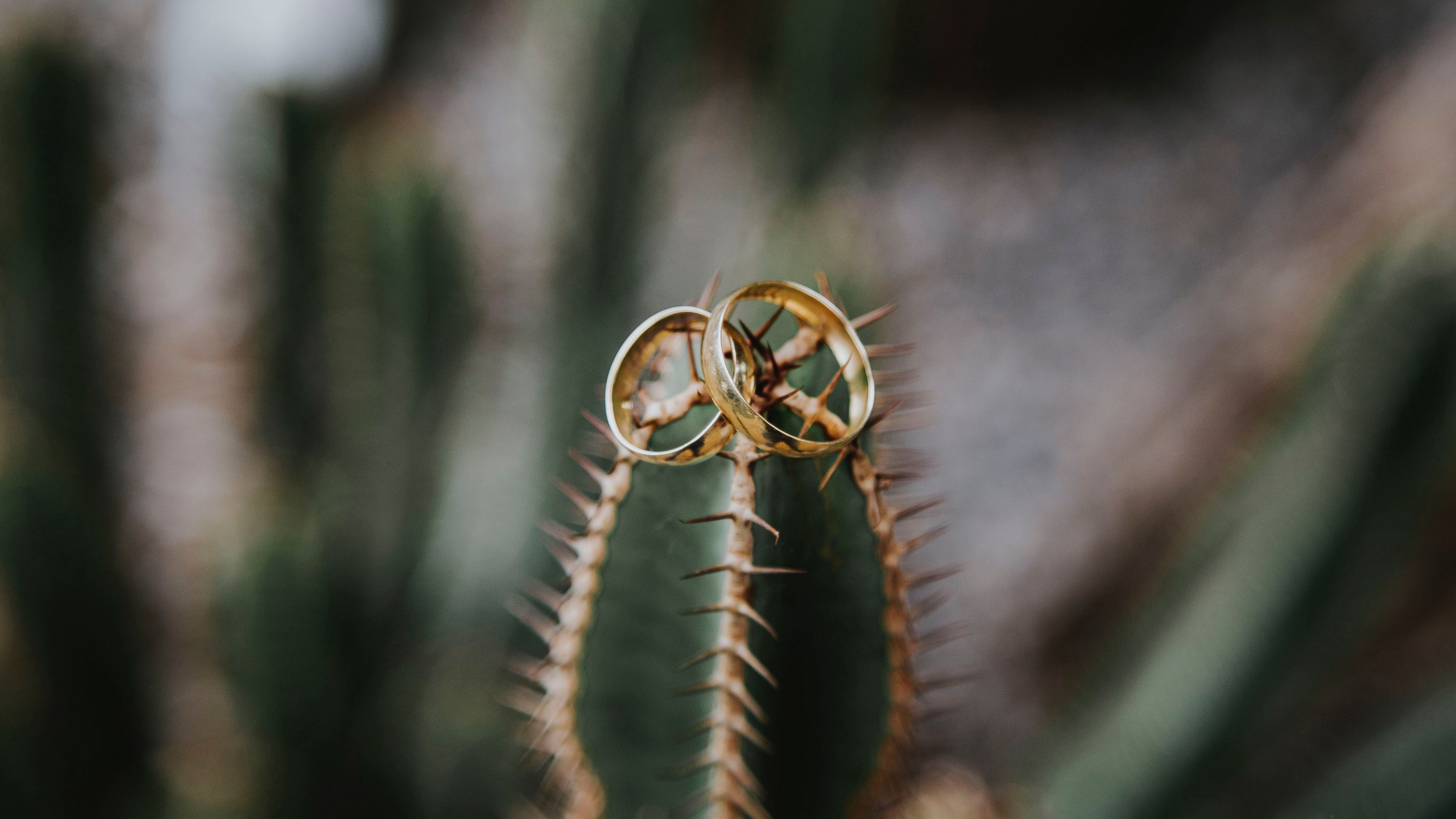 wedding, love, rings, 4k, HD Wallpaper