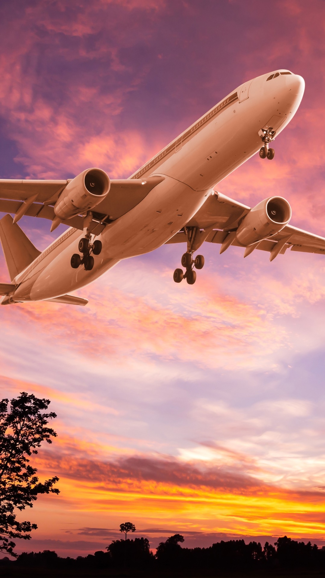 Vehicles Aircraft, Sunset, Sky, Passenger Plane, 1080x1920, Phone HD Wallpaper