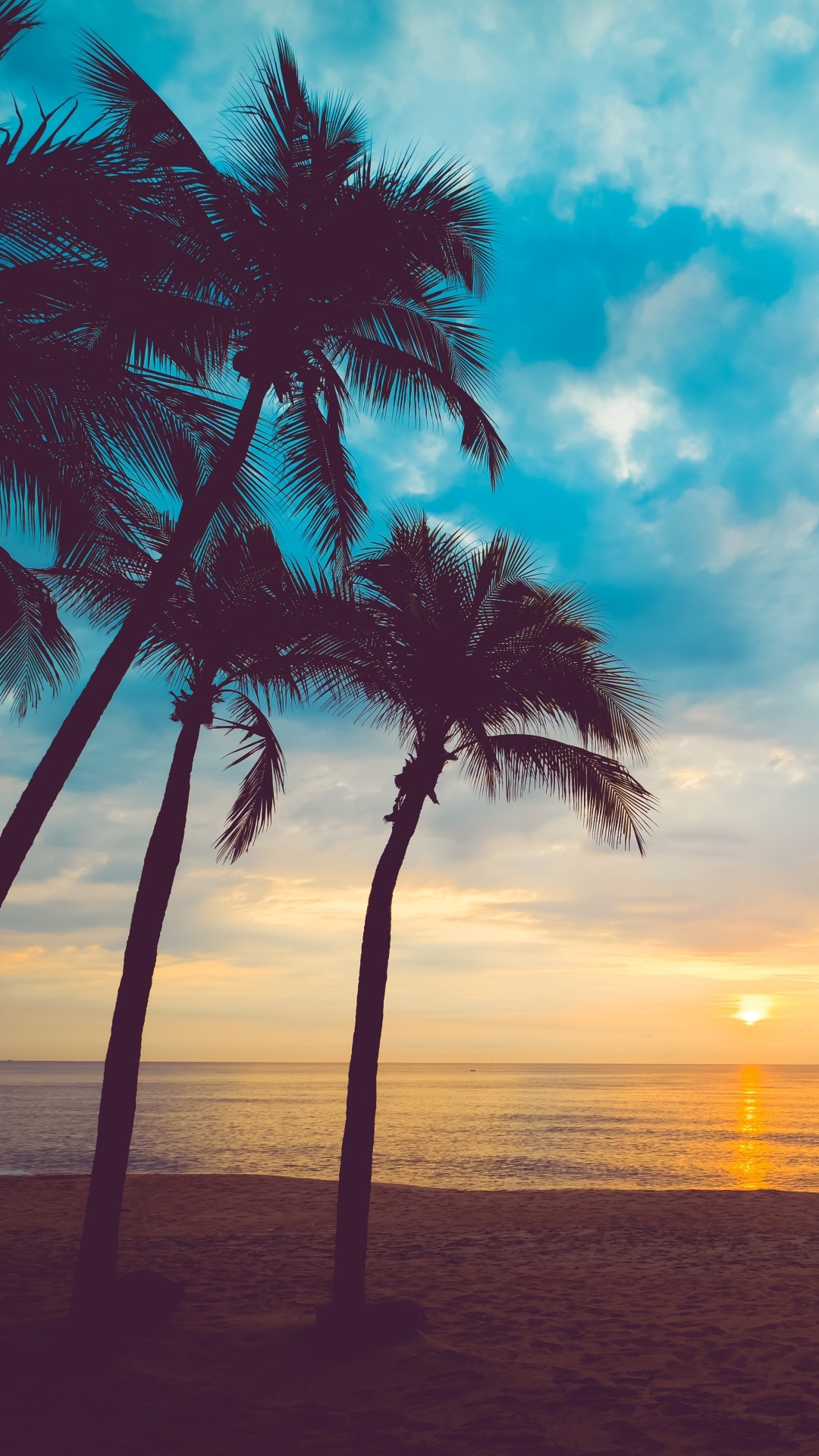 Earth Ocean, Palm Tree, Nature, Cloud, Horizon, 1080x1920, Phone HD Wallpaper