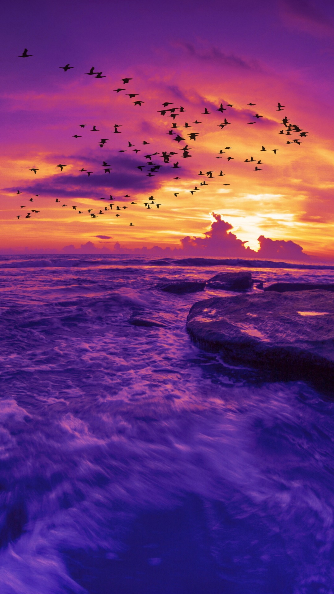 Earth Sunset, Bird, Ocean, Horizon, Earth, Purple, 1080x1920, Phone HD Wallpaper