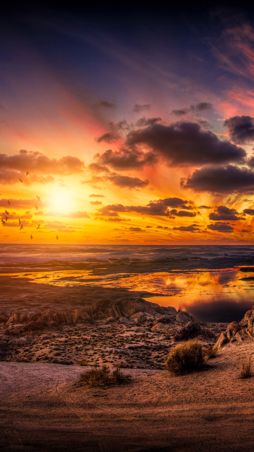 Earth Sunset, Sky, Sea, Horizon, Beach, Ocean, 1080x1920, Phone HD Wallpaper