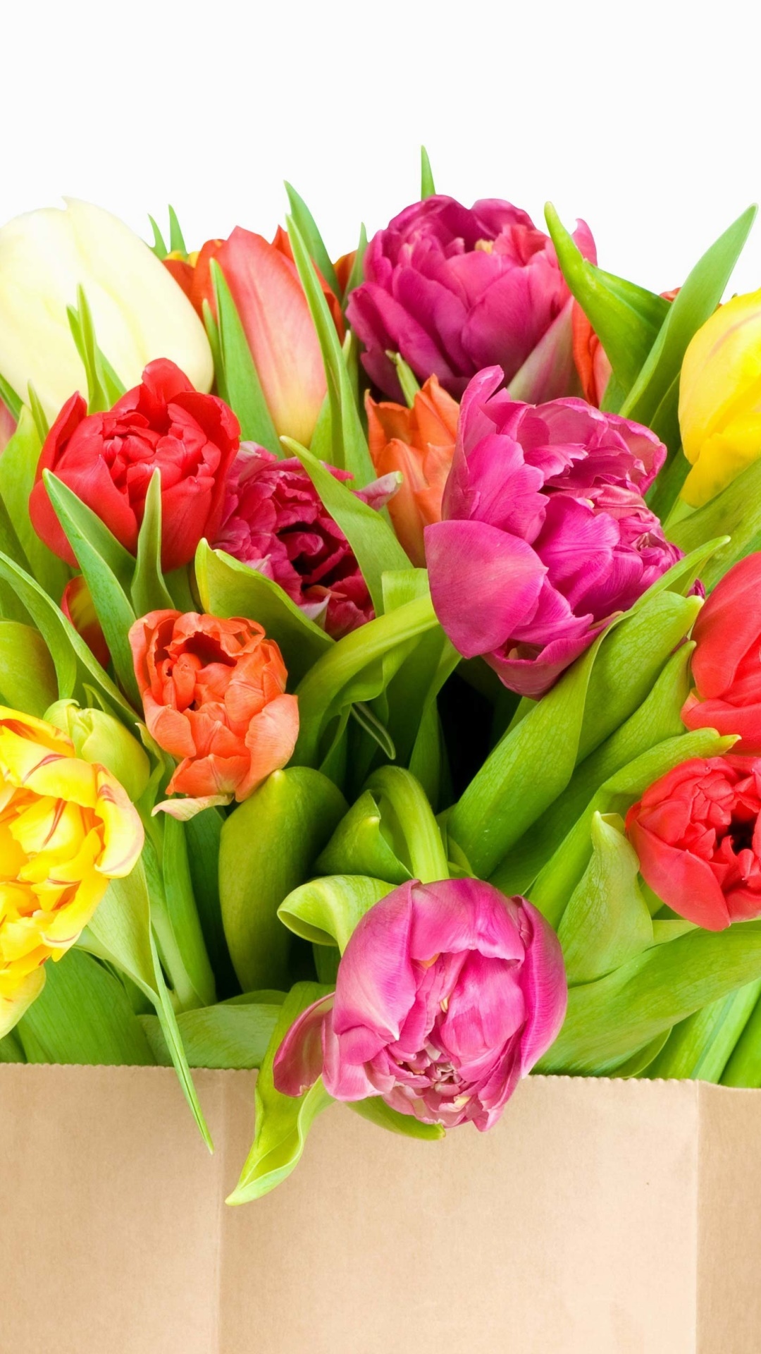 Man Made Flower, Red Flower, Tulip, Close-up, Purple Flower, Colorful, 1080x1920, Phone HD Wallpaper