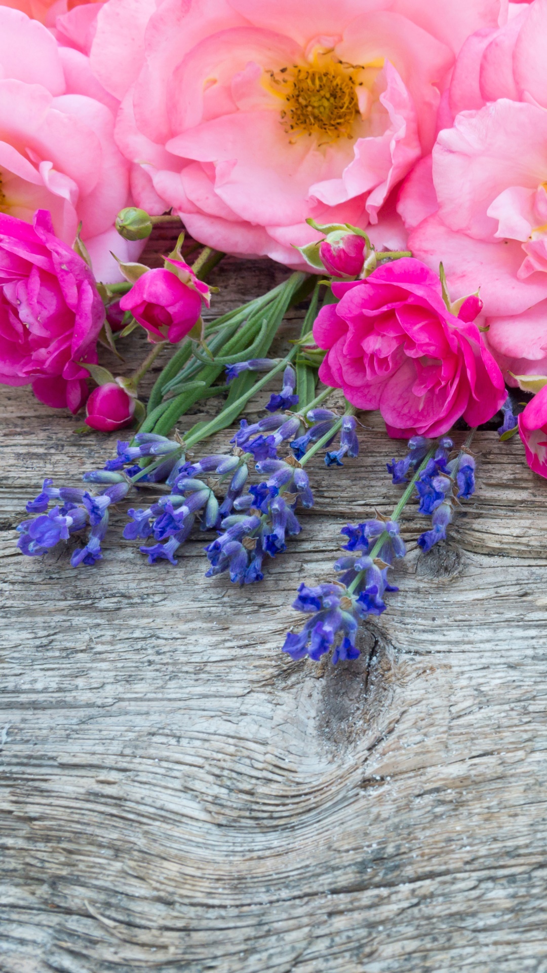 Earth Flower, Rose, Pink Flower, Blue Flower, 1080x1920, Phone HD Wallpaper