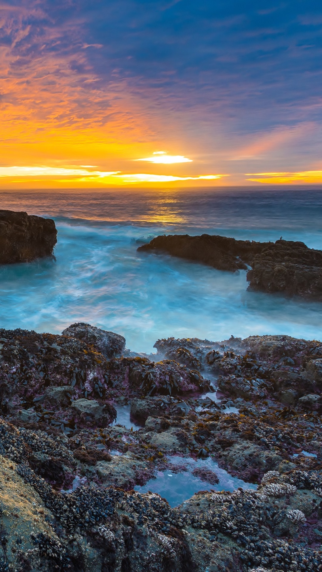 Earth Sunset, Ocean, Beach, HDR, 1080x1920, Phone HD Wallpaper