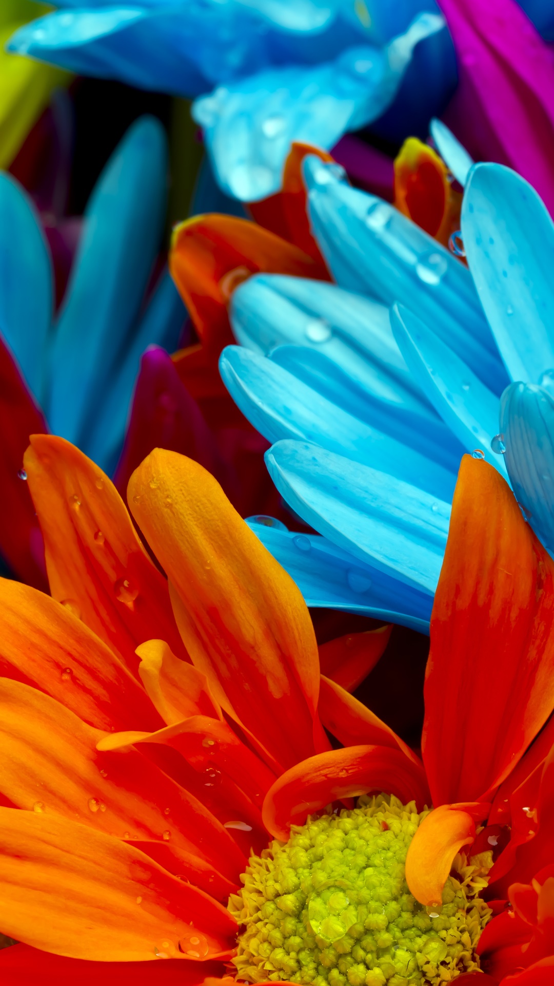 Earth Flower, Pastel, 1080x1920, Phone HD Wallpaper