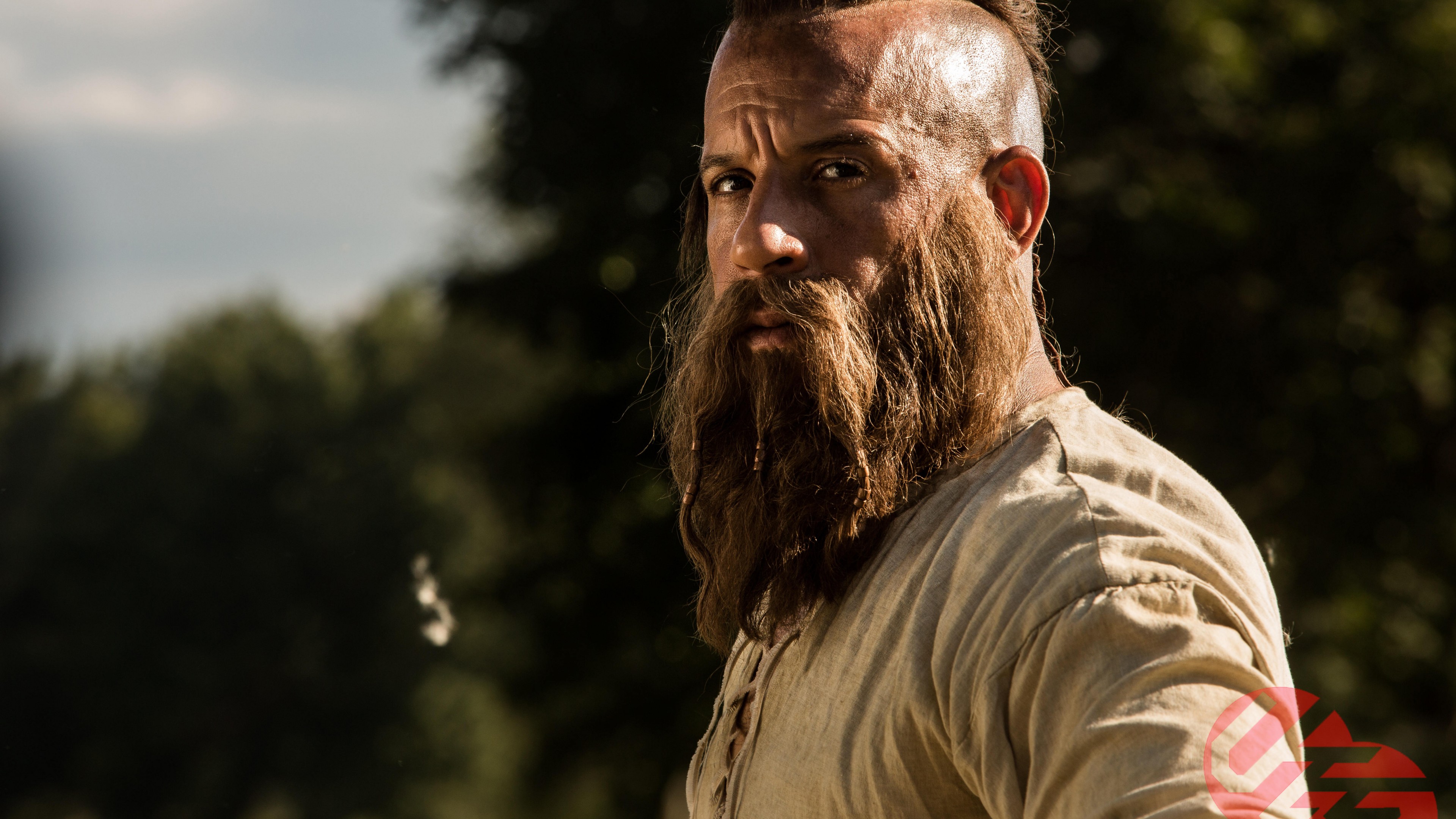 The Last Witch Hunter, Vin Diesel, HD Wallpaper