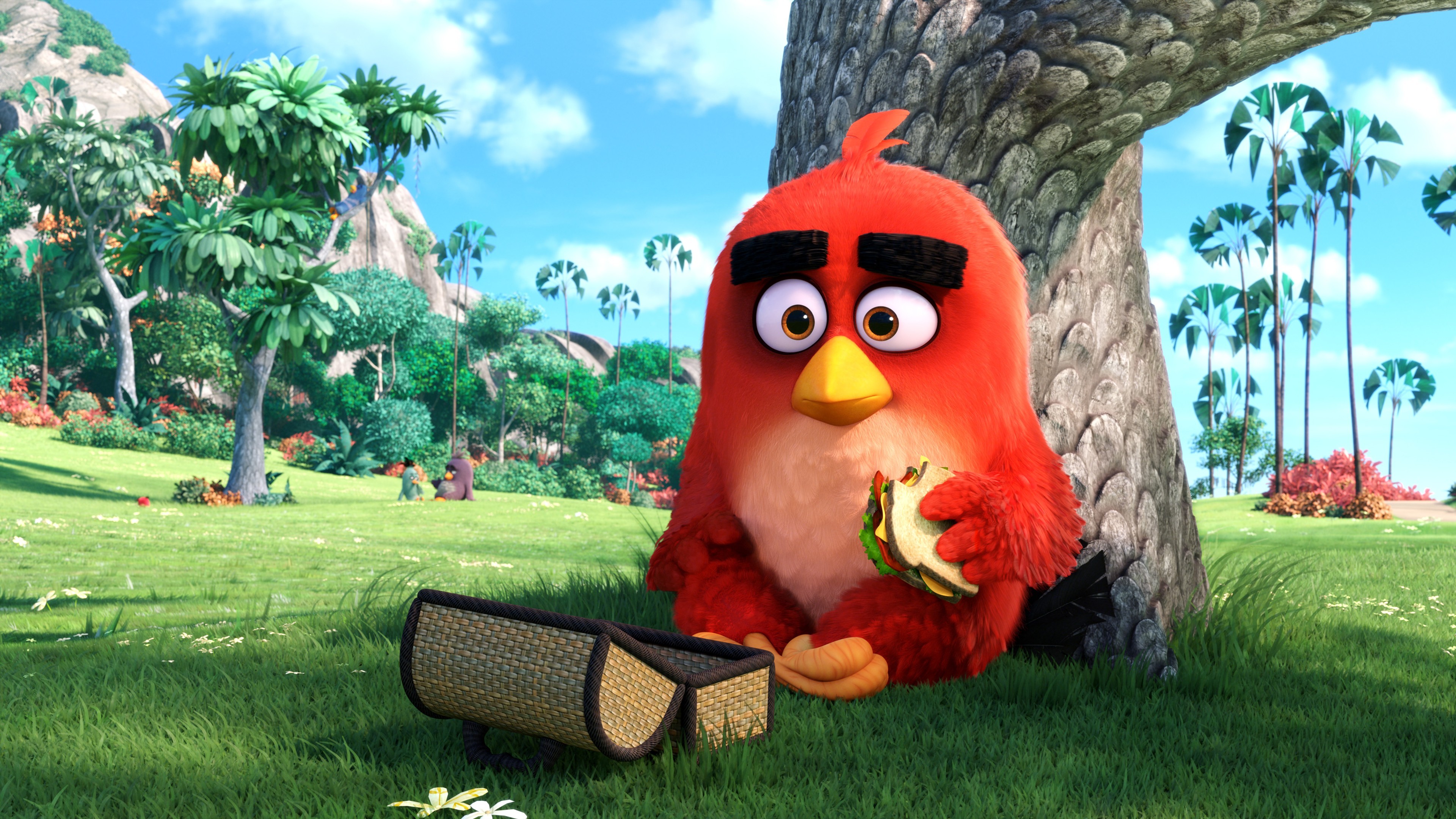 Angry Birds Movie, red, Best Animation Movies of 2016, HD Wallpaper