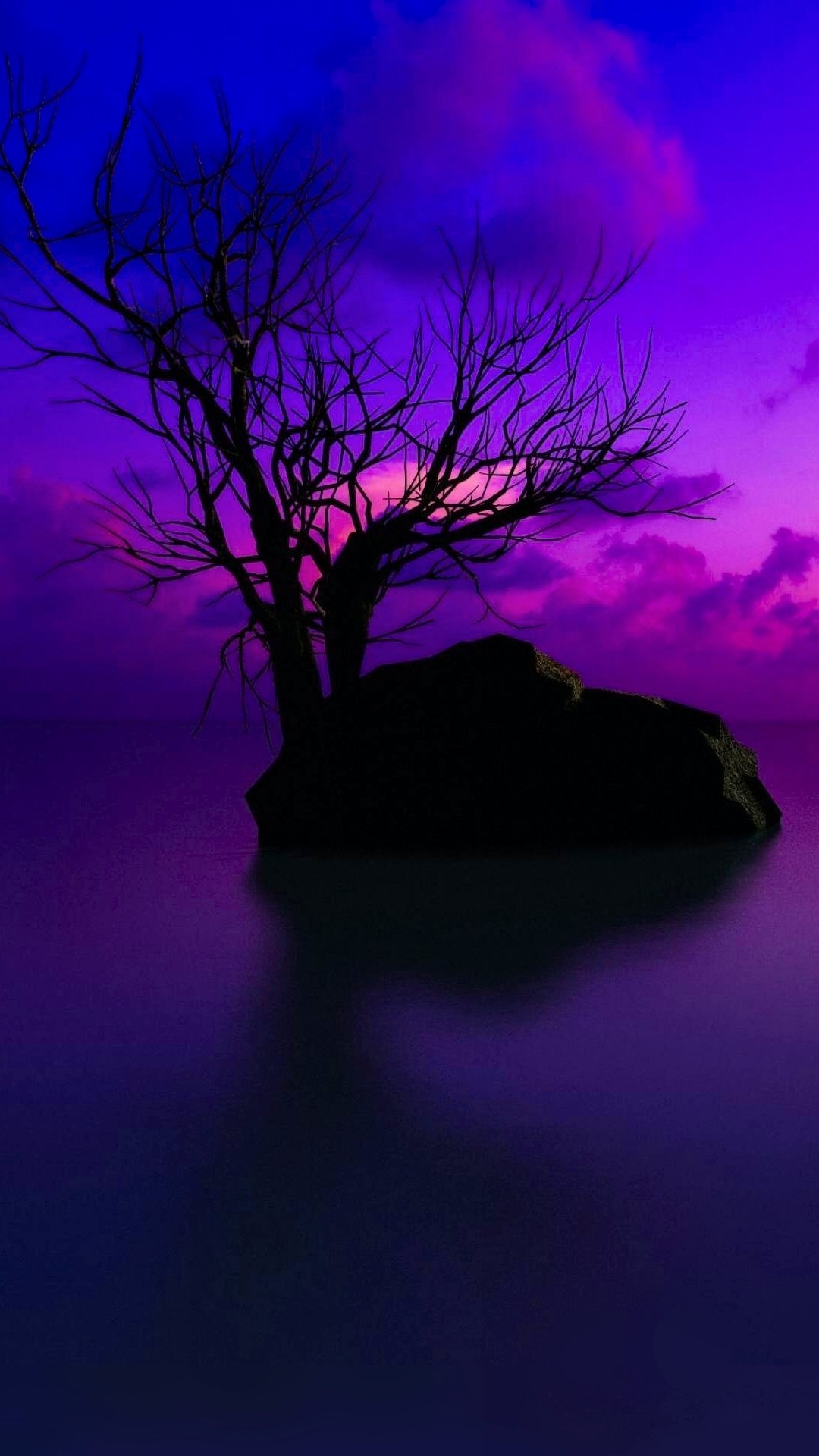 Earth Sunset, Cloud, Horizon, Purple, Sky, Tree, 1080x1920, Phone HD Wallpaper