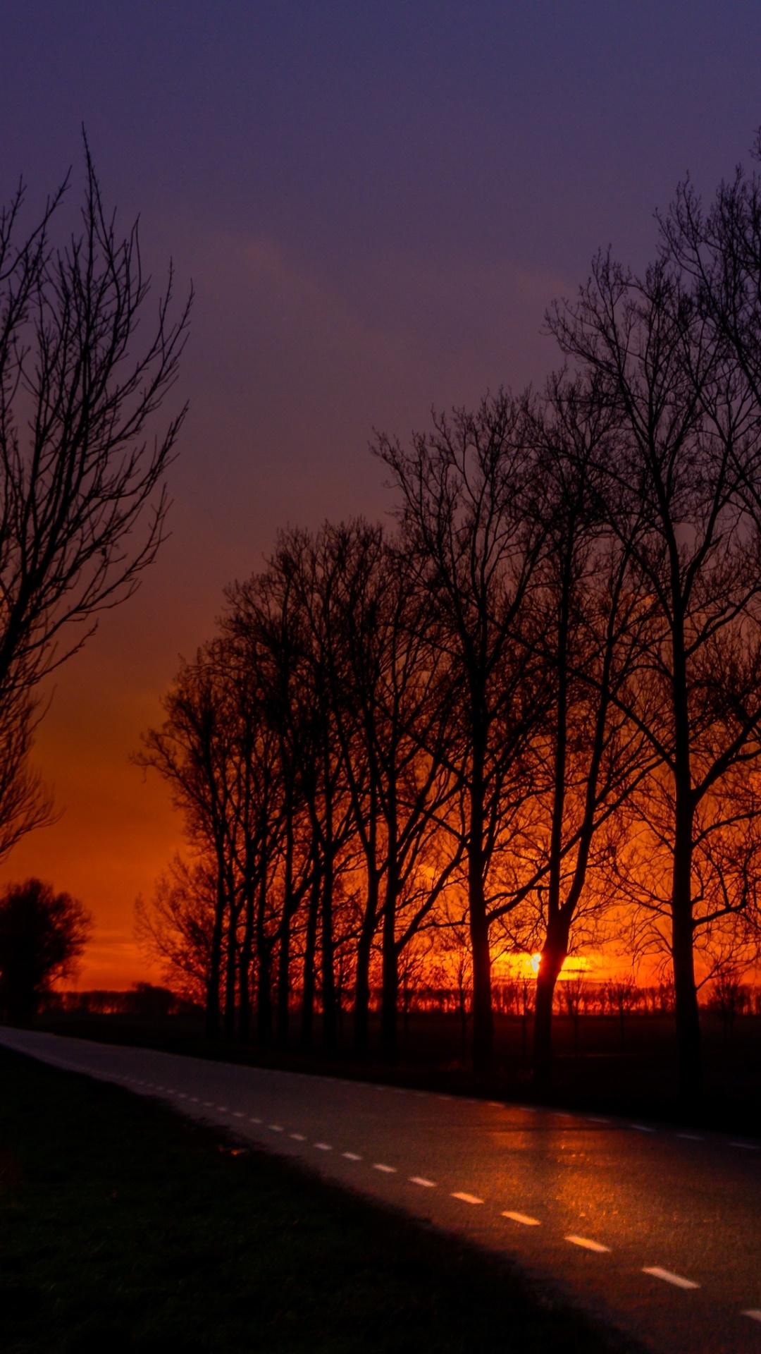 Photography Sunset, Silhouette, Earth, Road, Sky, Tree, 1080x1920, Phone HD Wallpaper