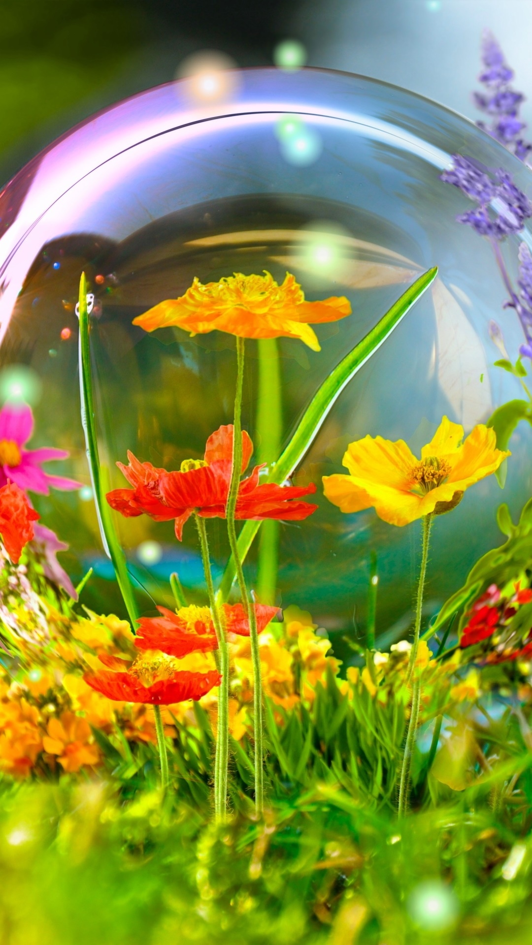Earth Flower, Manipulation, Colors, Butterfly, Colorful, Bubble, 1080x1920, Phone HD Wallpaper