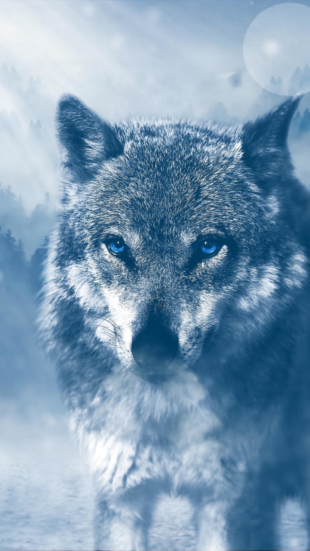 Animal Wolf, 1080x1920, Phone HD Wallpaper