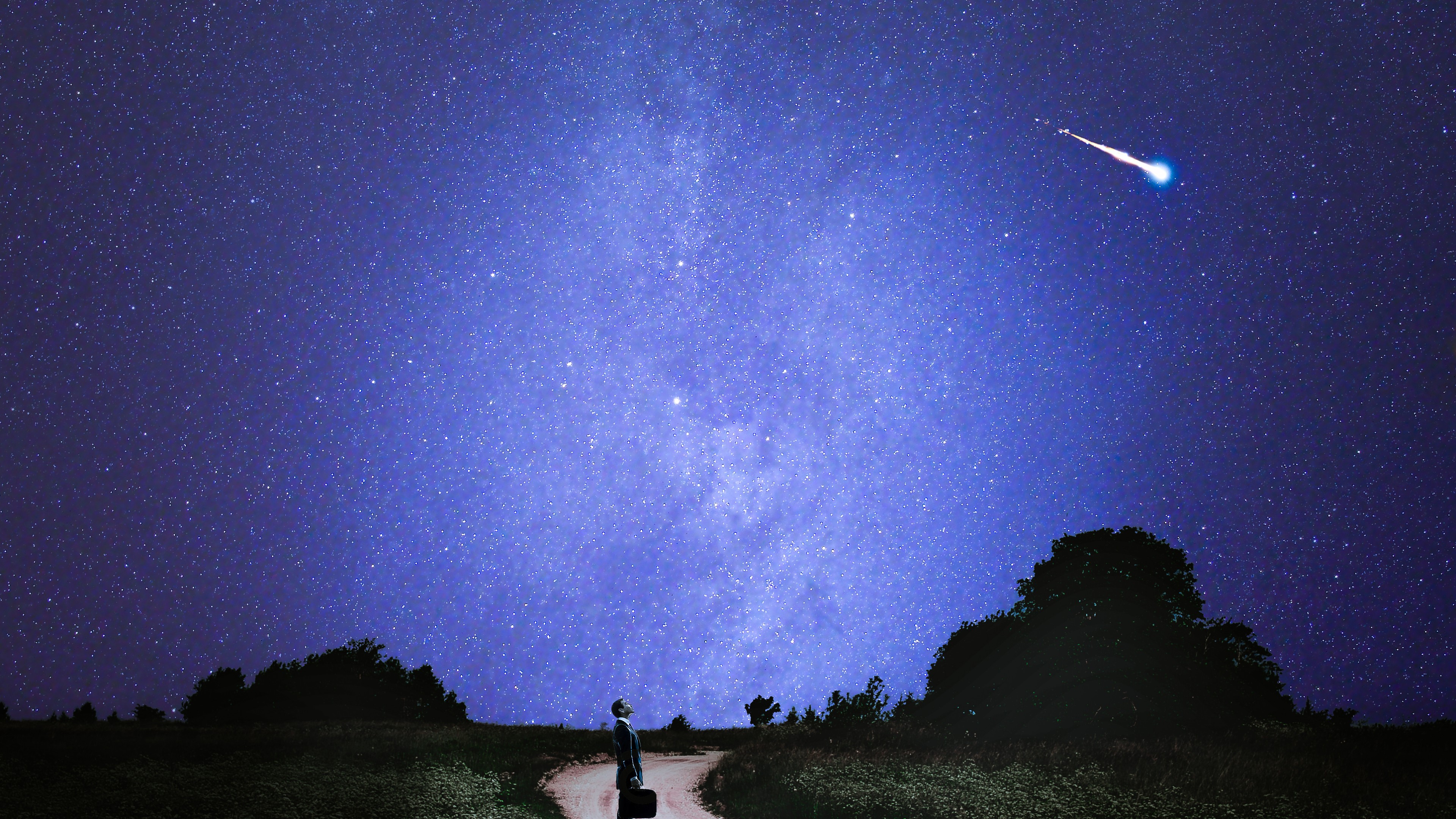 Stars, 4K, night, trees, photoshop, HD Wallpaper